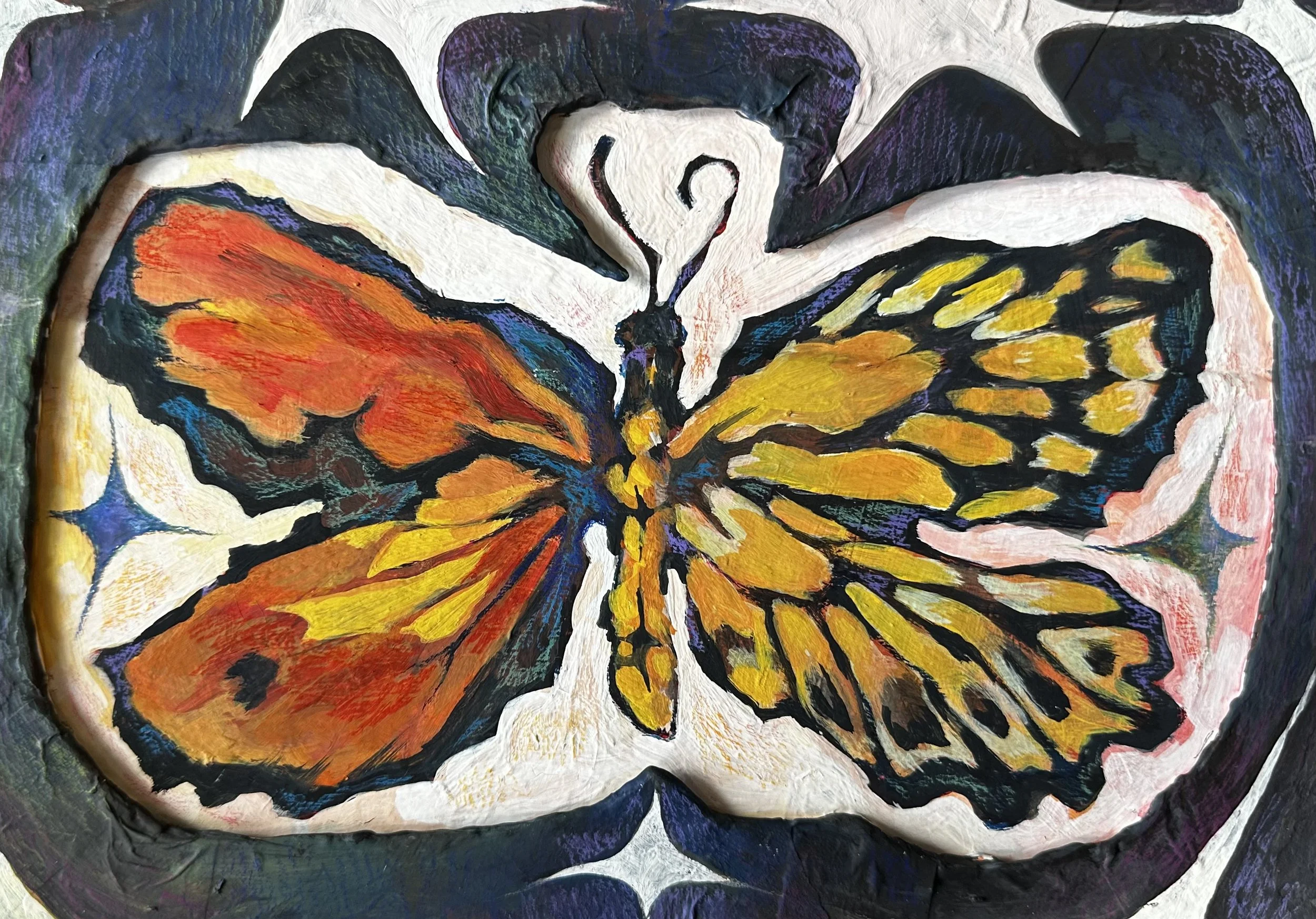 Ornithoptera Croesus, 2026