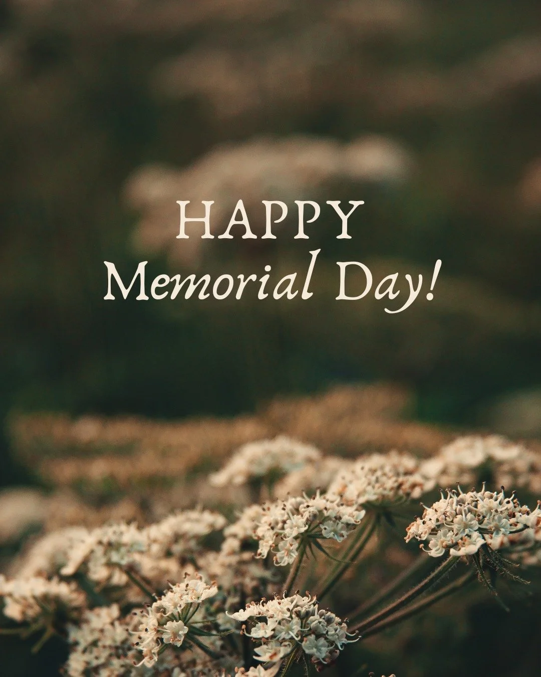 Happy Memorial Day! 🌟

Don't forget, today's the last day to take 20% off your purchase by using code: BDAY20 

#happymemorialday