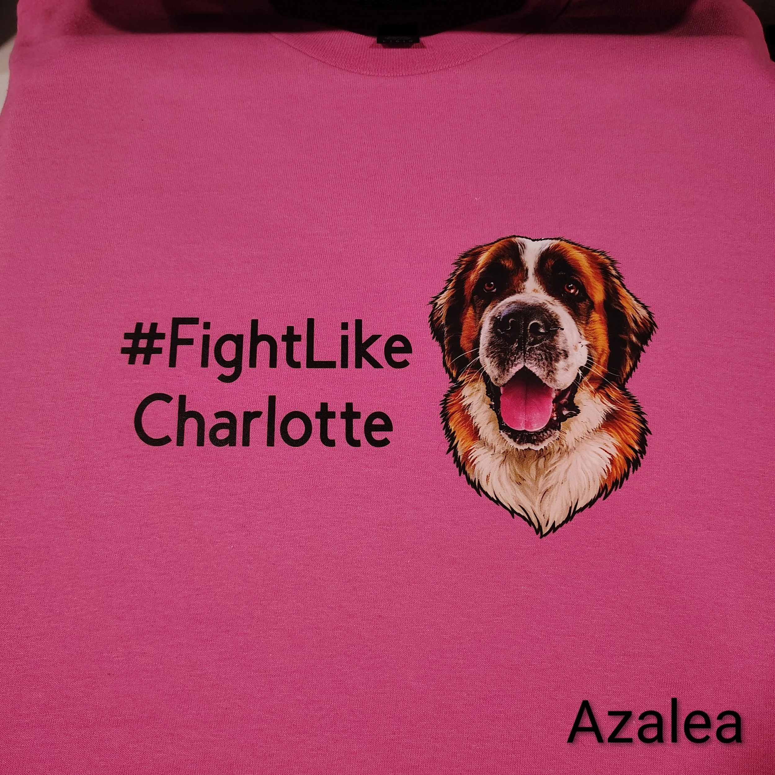 #FightLikeCharlotte