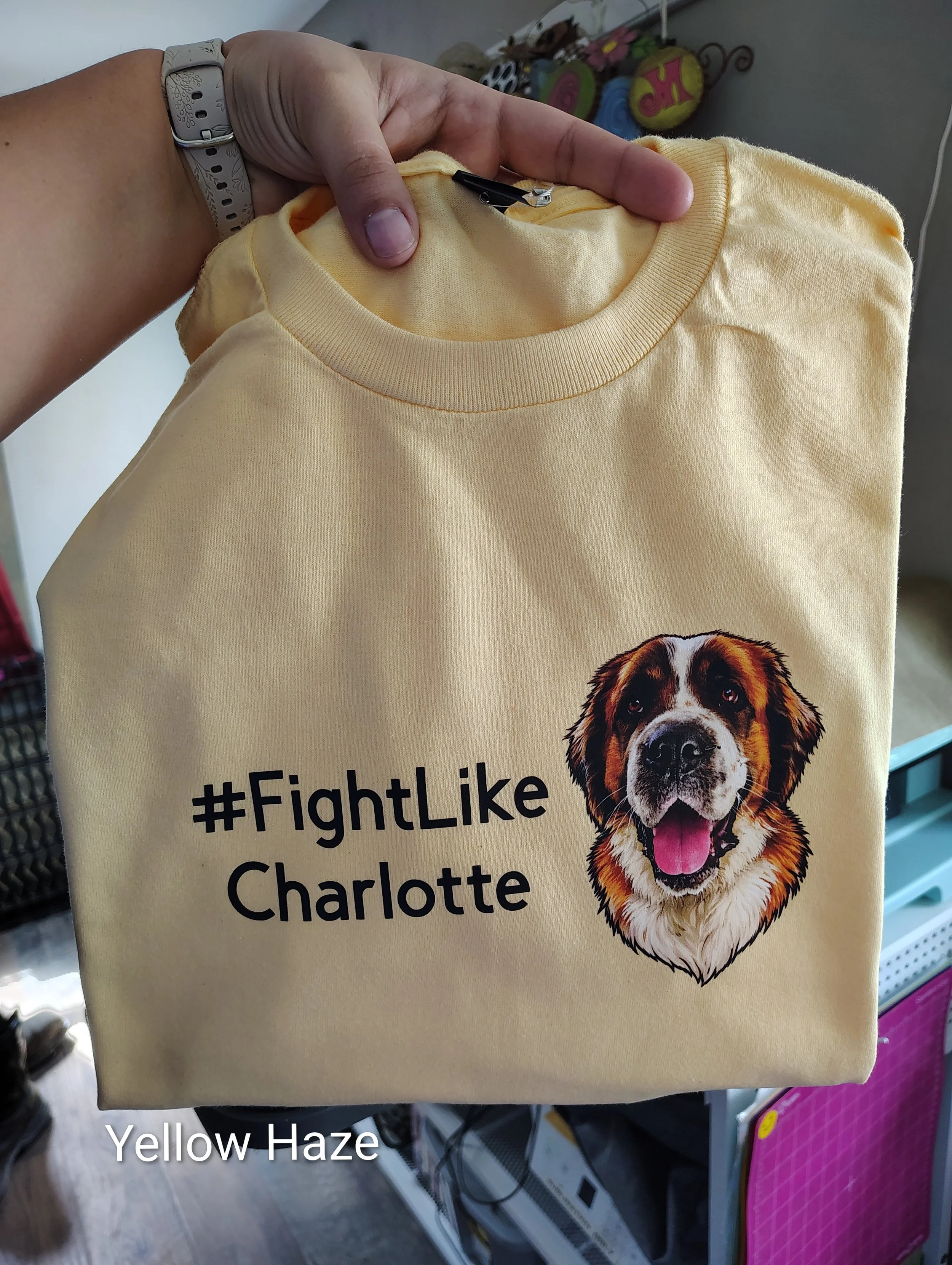 #FightLikeCharlotte