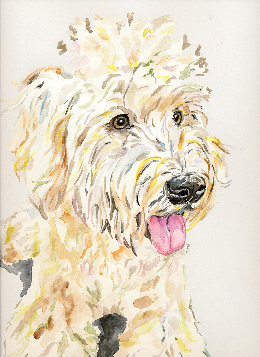 Poptart_Goldendoodle2.png