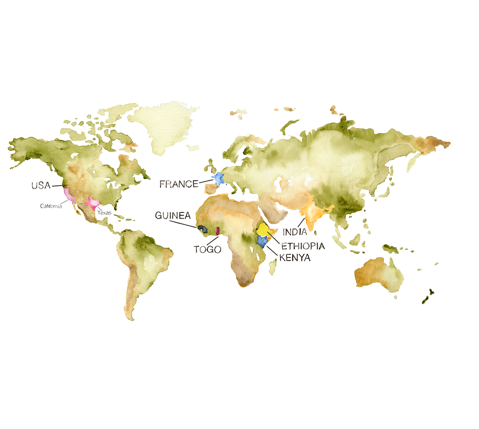 RavenandLily_DiversityMap2.png