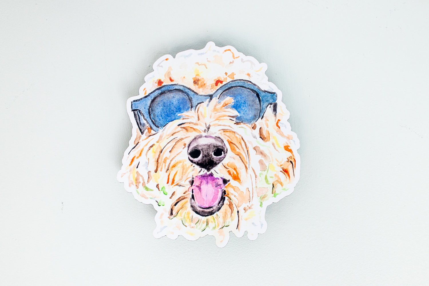 Animal Illustrations