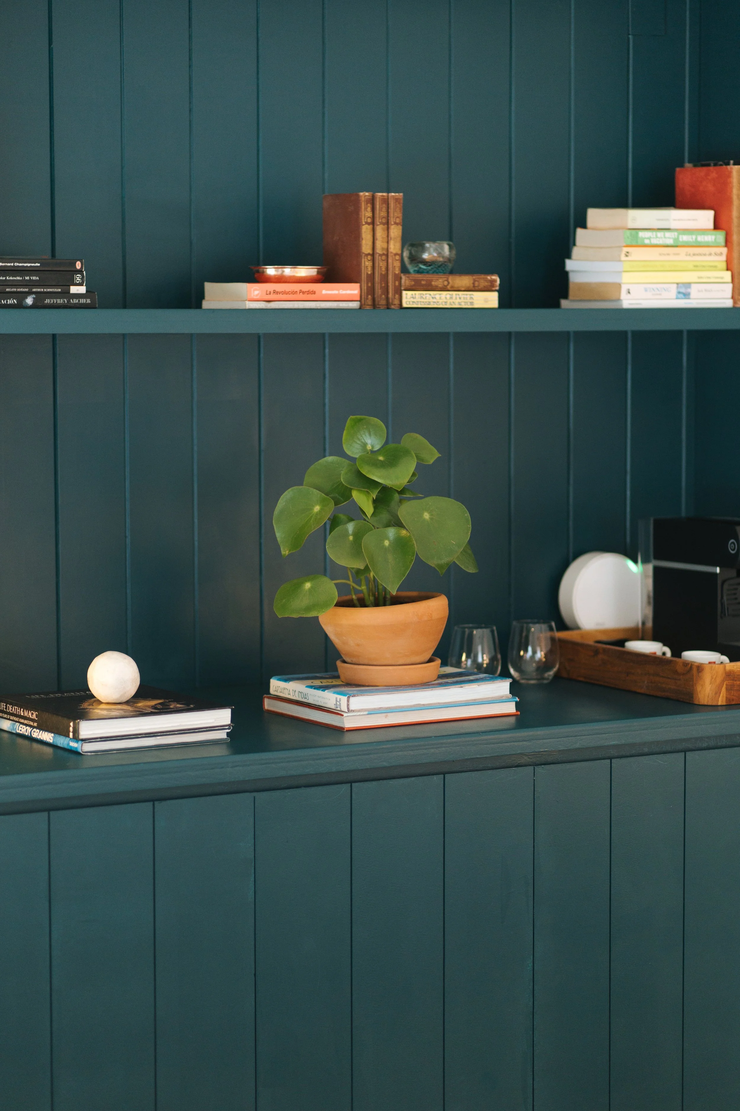 Bookshelf Detail