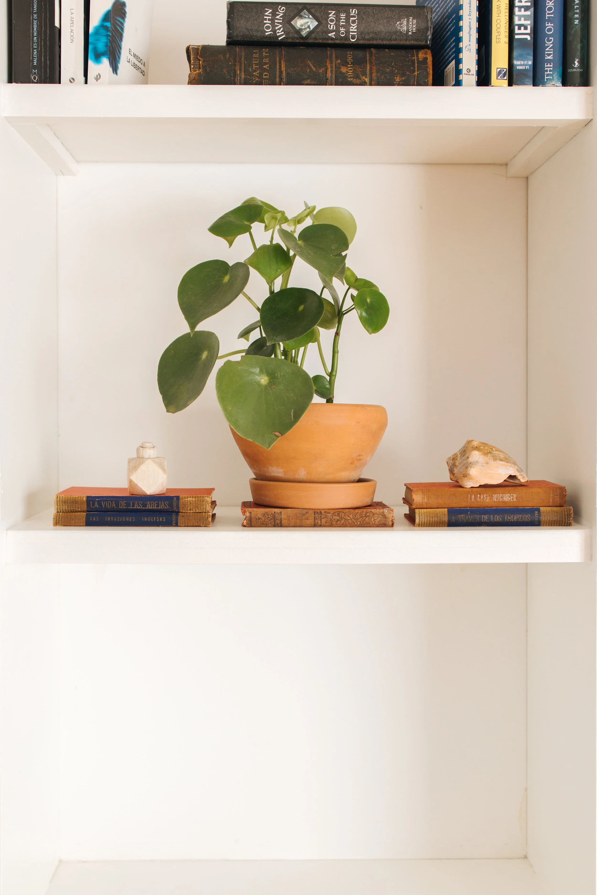 Bookshelf Detail