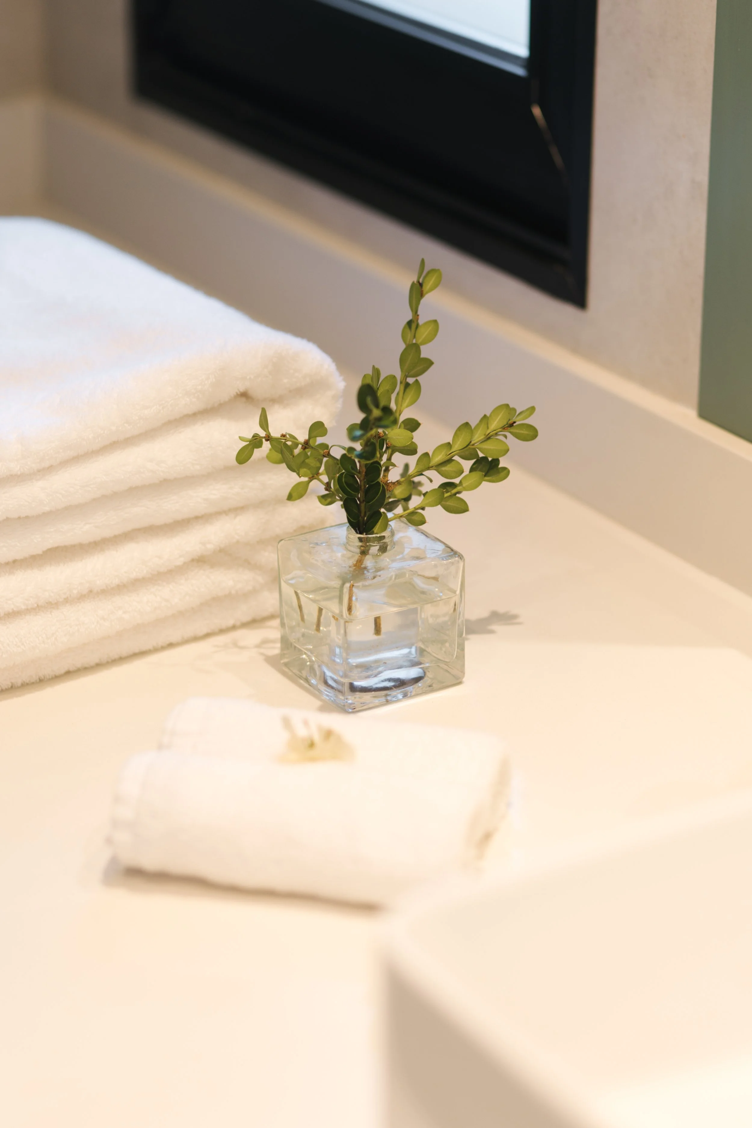 Conservatory Bathroom Detail