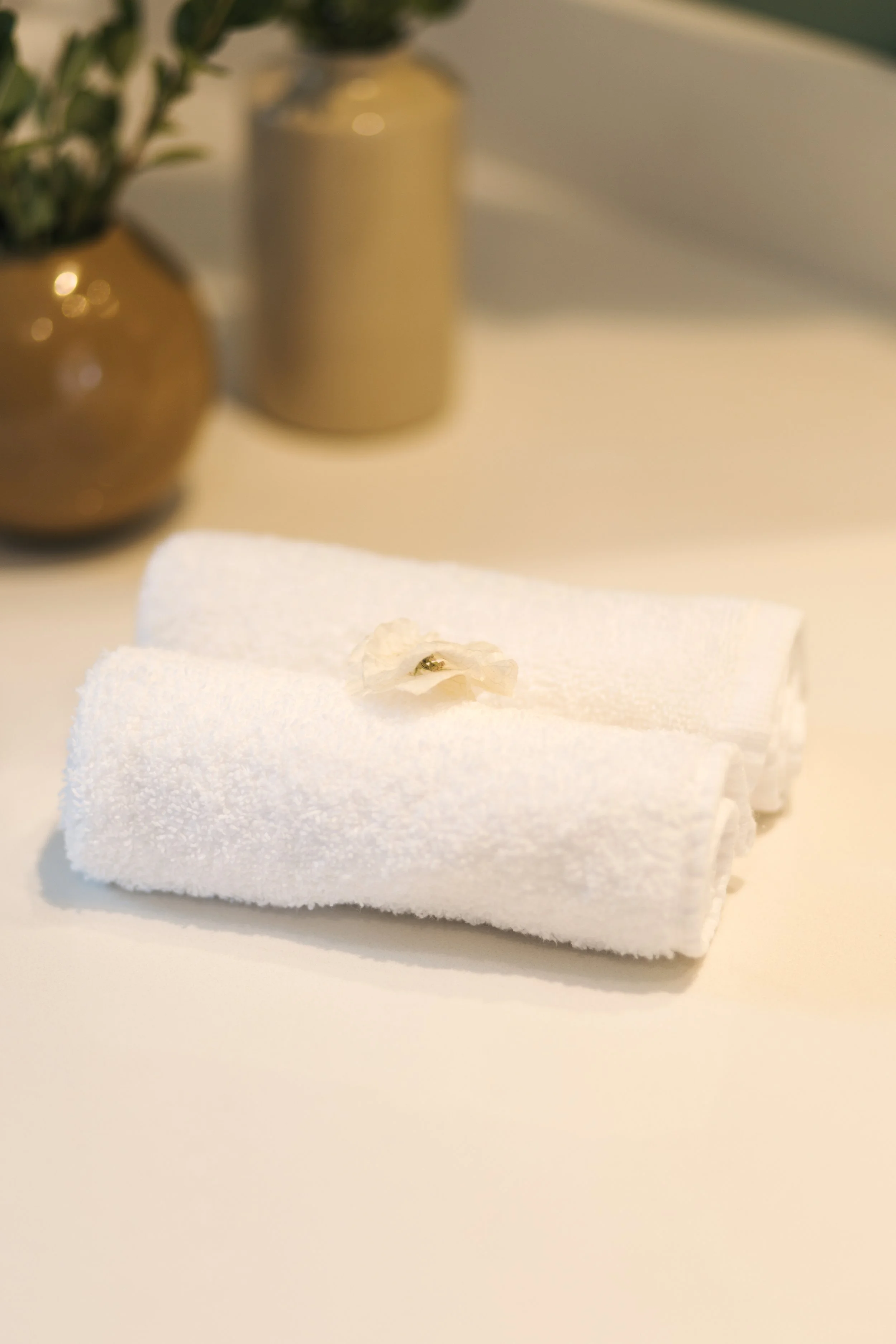 Bathroom Detail
