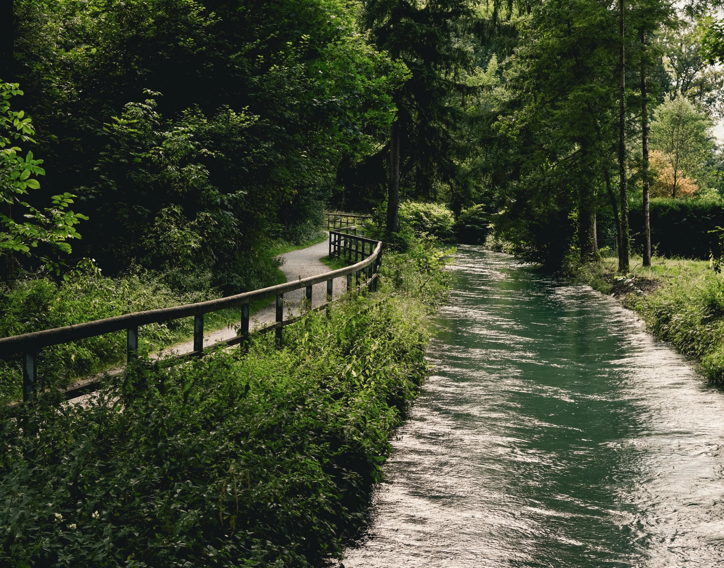 A scenic view of a narrow river flowing through a forest, with a dirt path and a wooden railing on the left side parallel to the river.