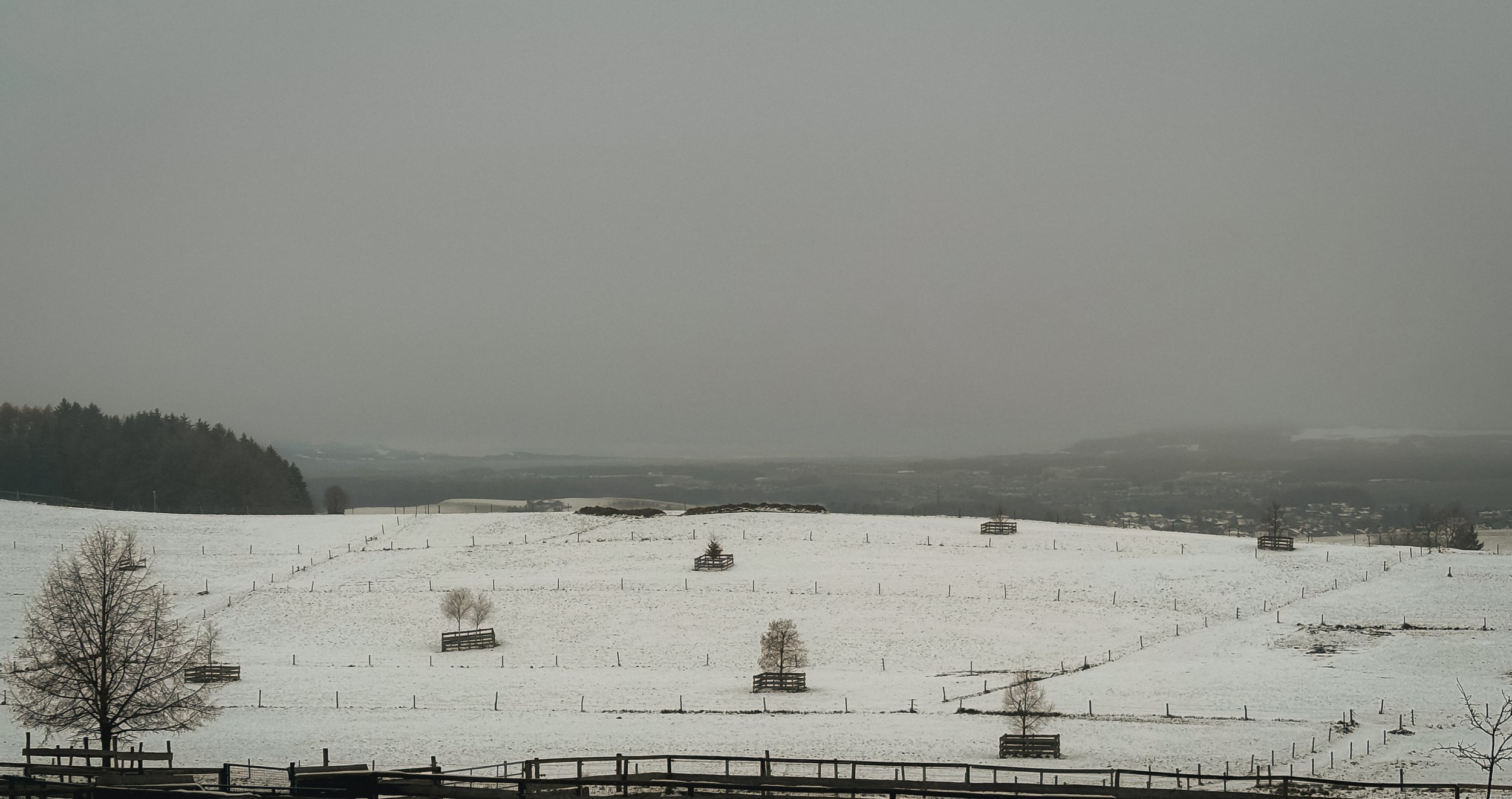 Snow-covered farm landscape with scattered trees and fences under a gray overcast sky.