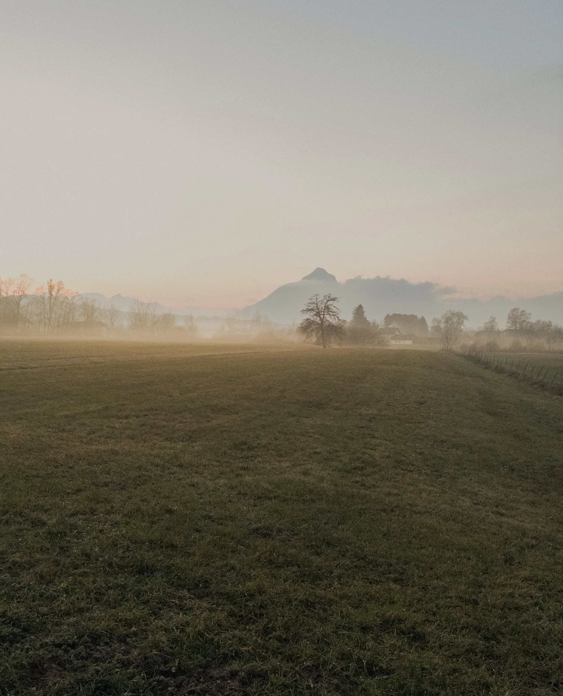 A misty countryside landscape with grassy fields, a few trees, and mountains in the distance during dusk.
