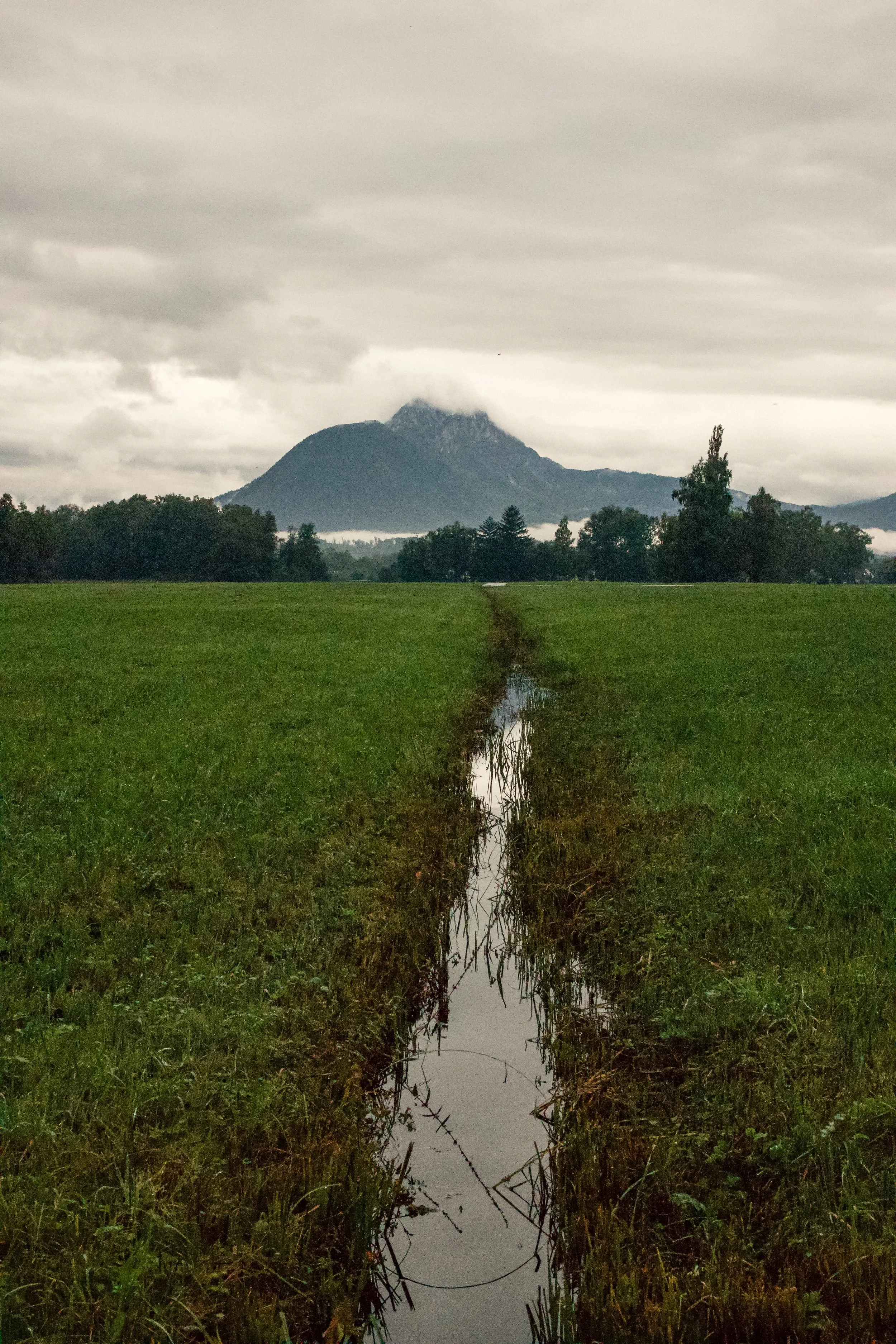 A green field with a narrow water channel running through it, leading towards a distant mountain under a cloudy sky.