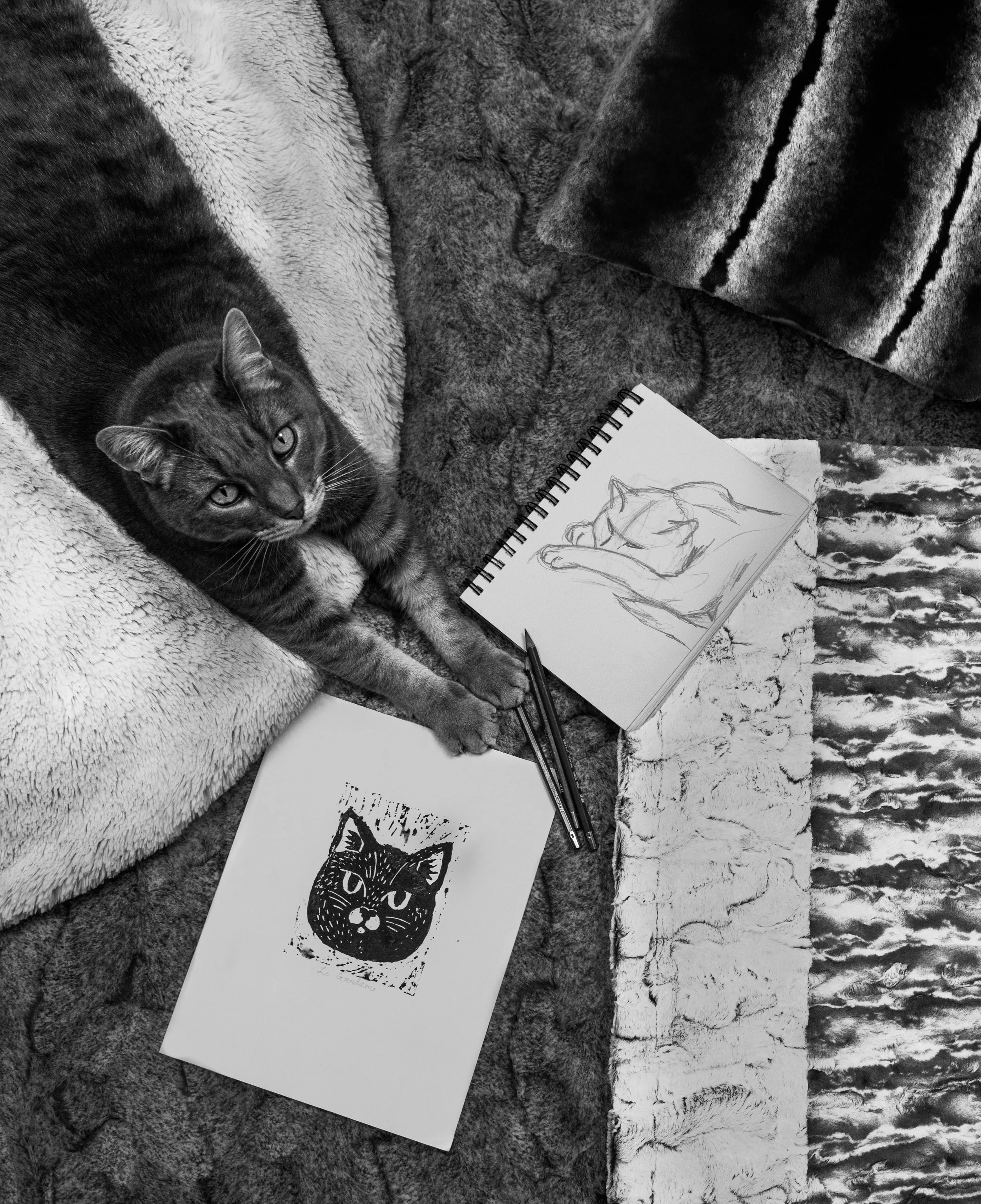 Black and White Campaign (Shannon Fabrics)
