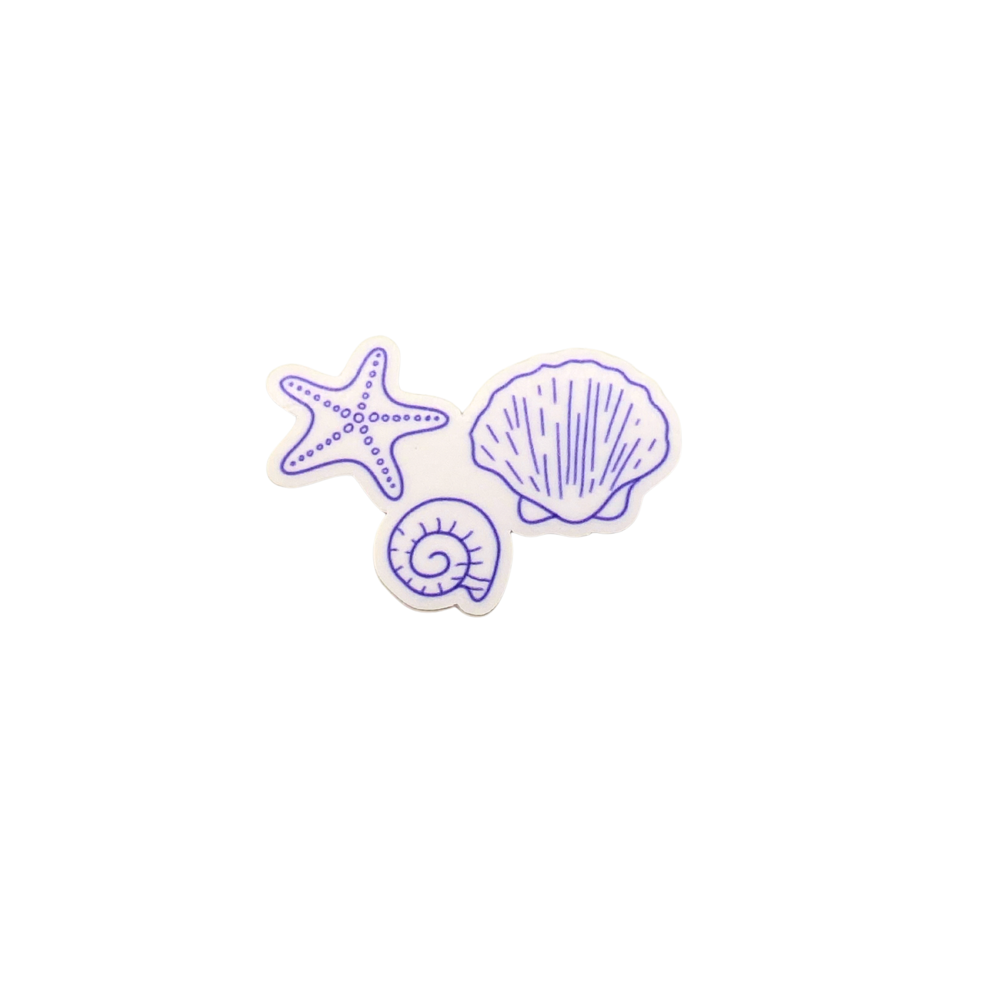 shells 3.png