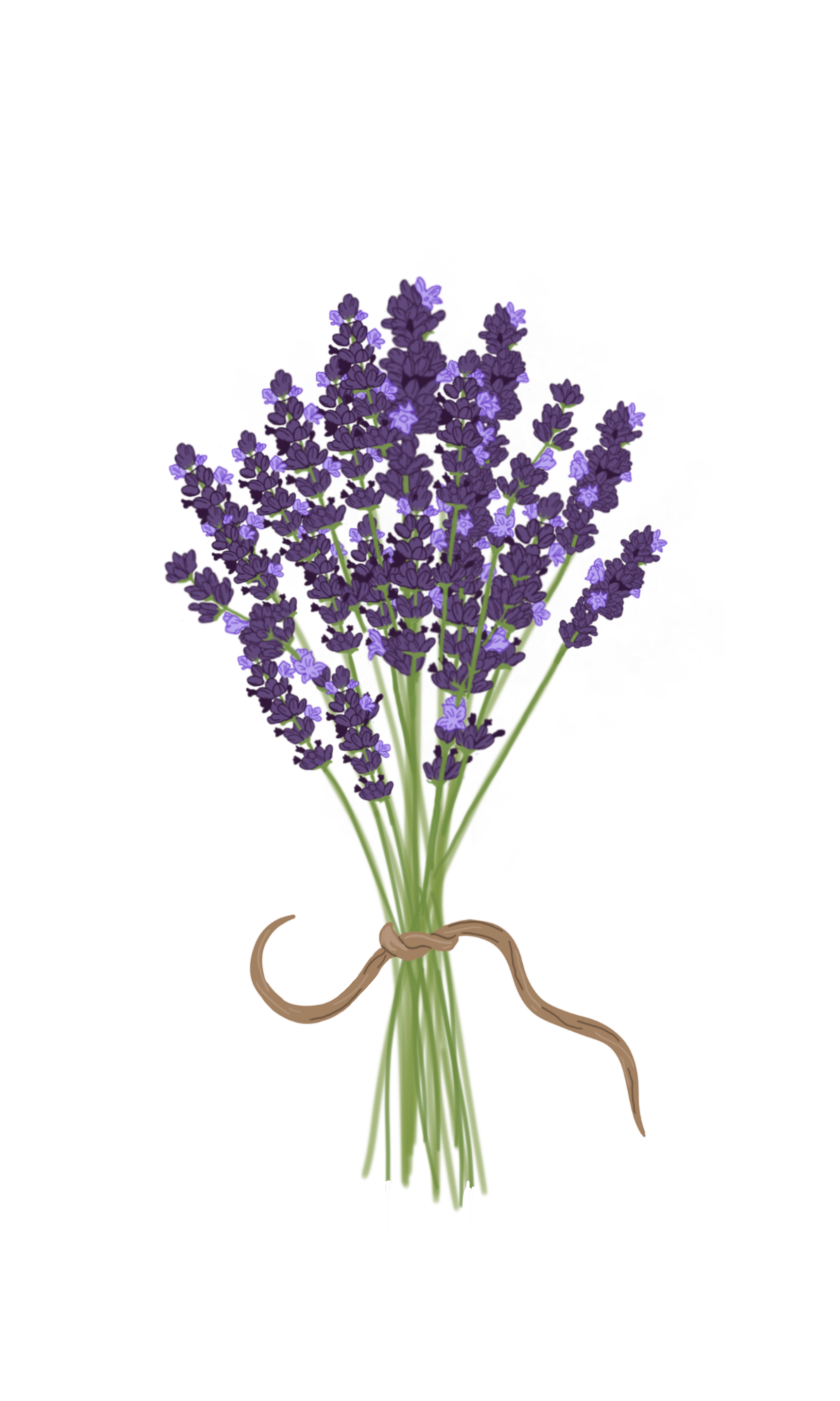 Untitled (24).png