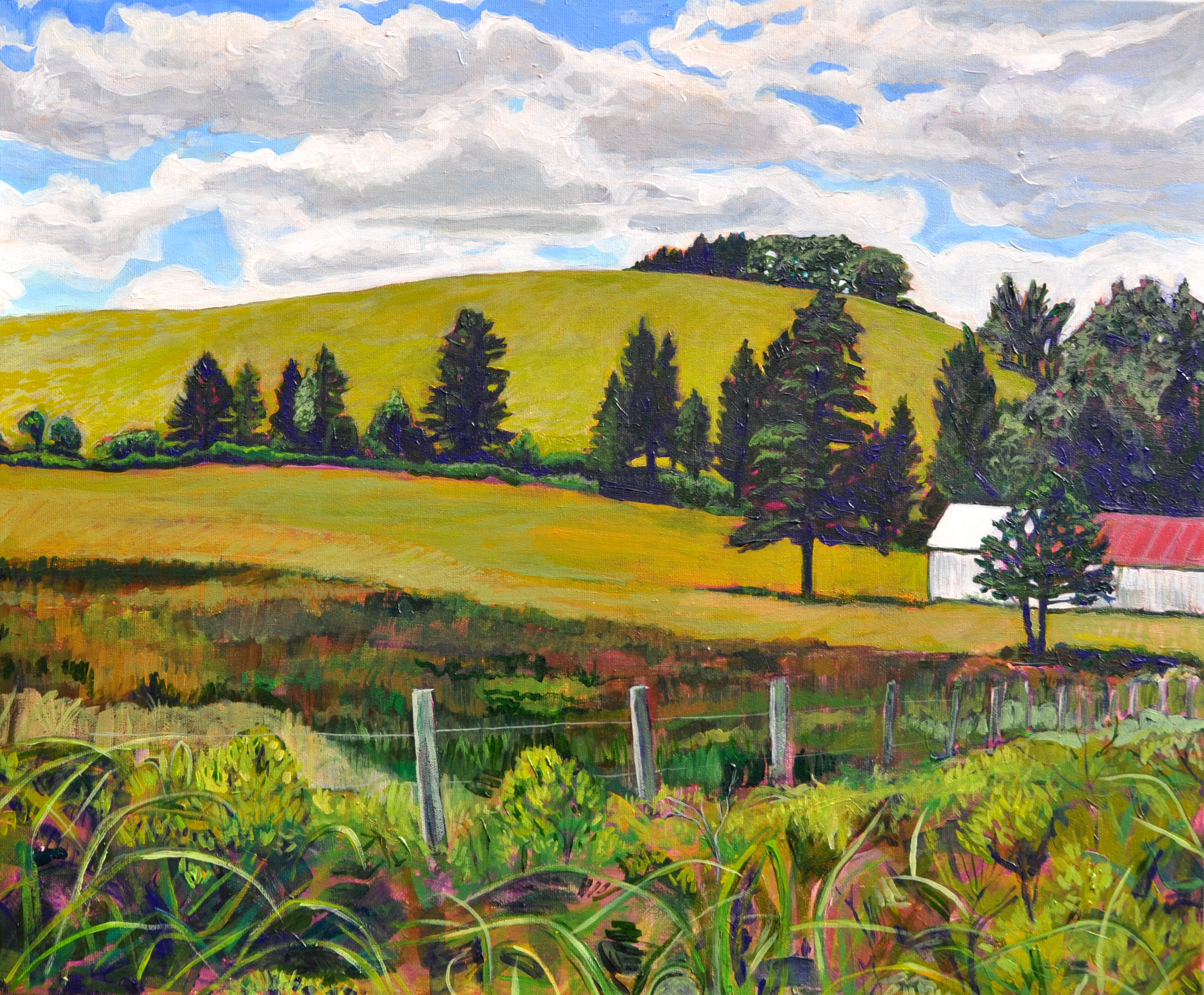 Big Hill Behind Sperry's
24x20

                           
SOLD
