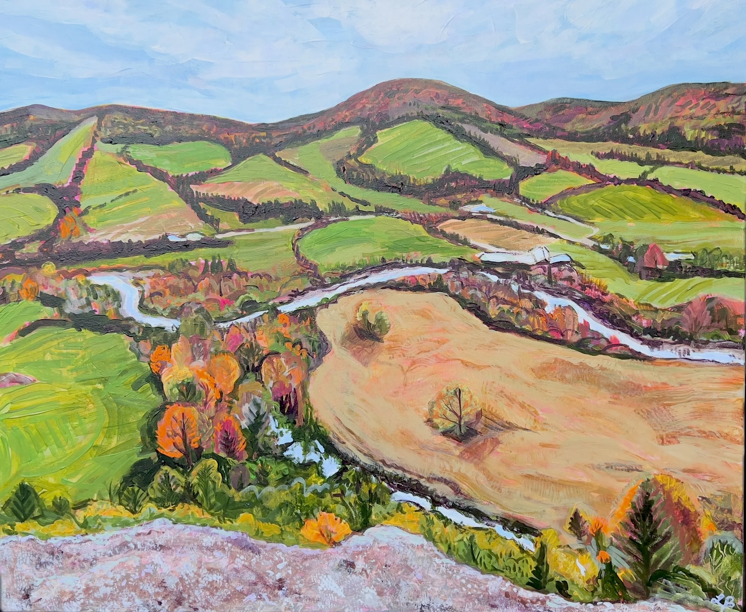 Fields from The Bluff

18×20

acrylic on canvas

2025
$825.00