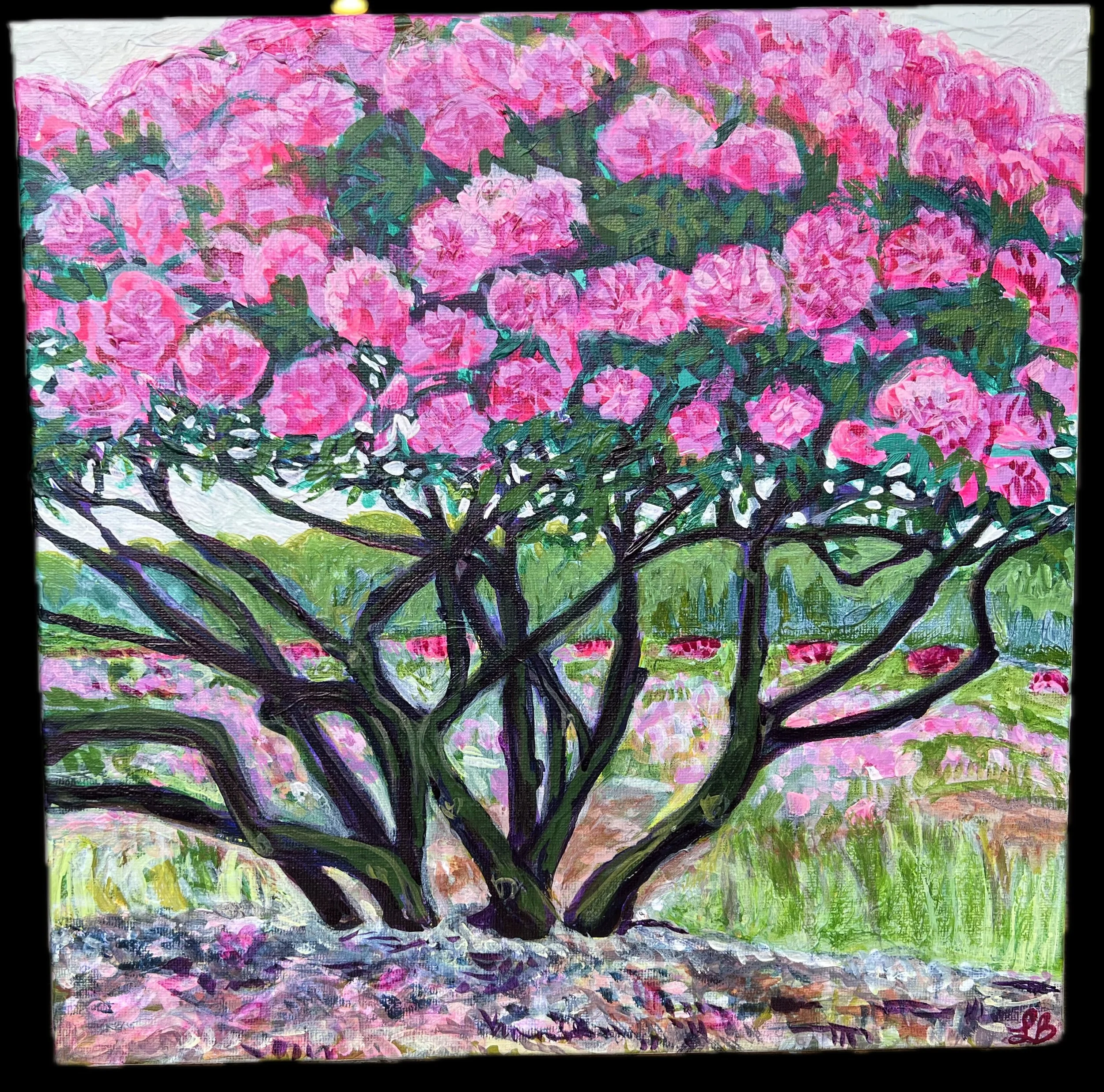 Rhodo Stay
12x12
acrylic and acrylic ink on canvas
2026
$425