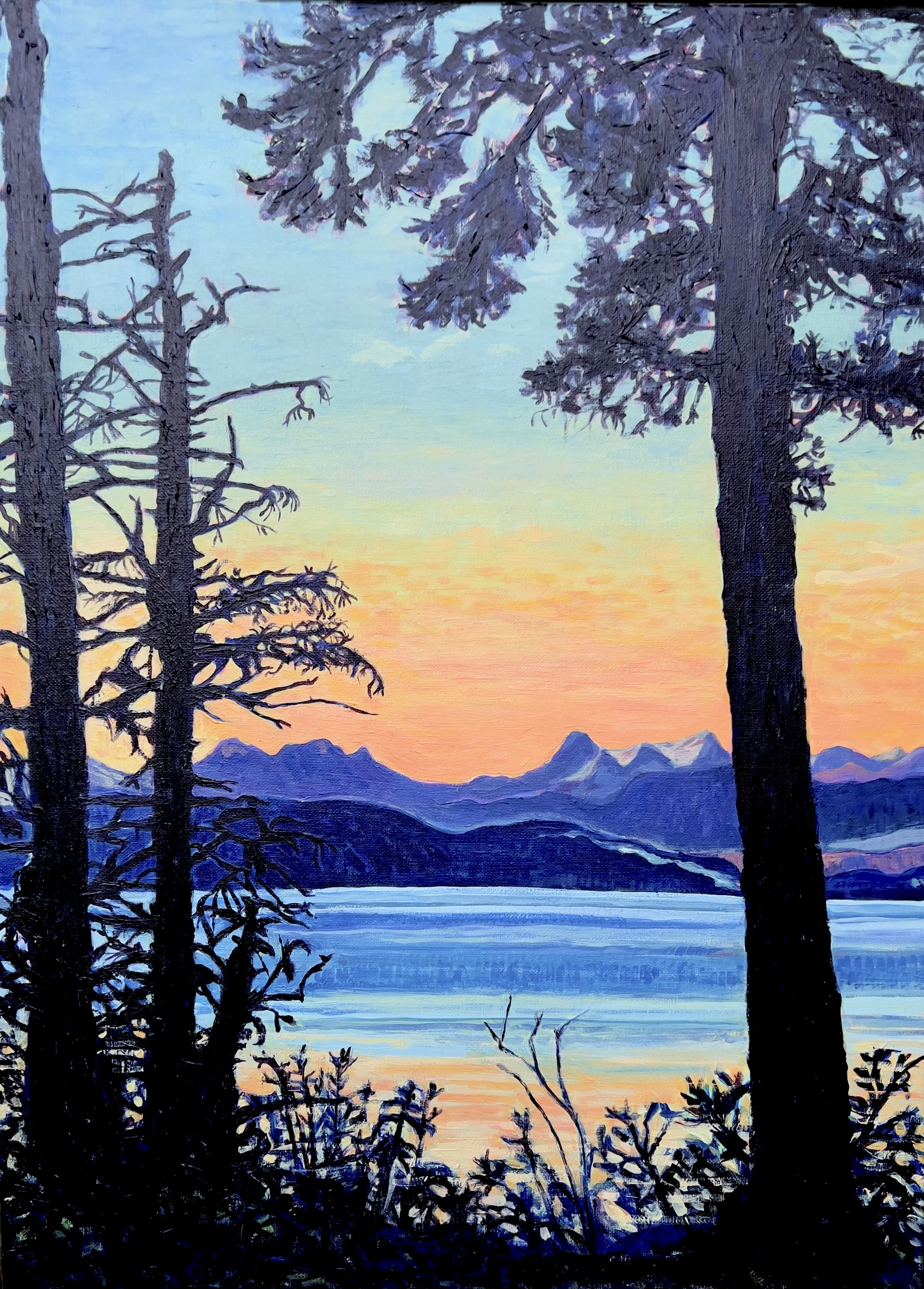 Denman Island Dusk
20x30
acrylic on canvas
SOLD