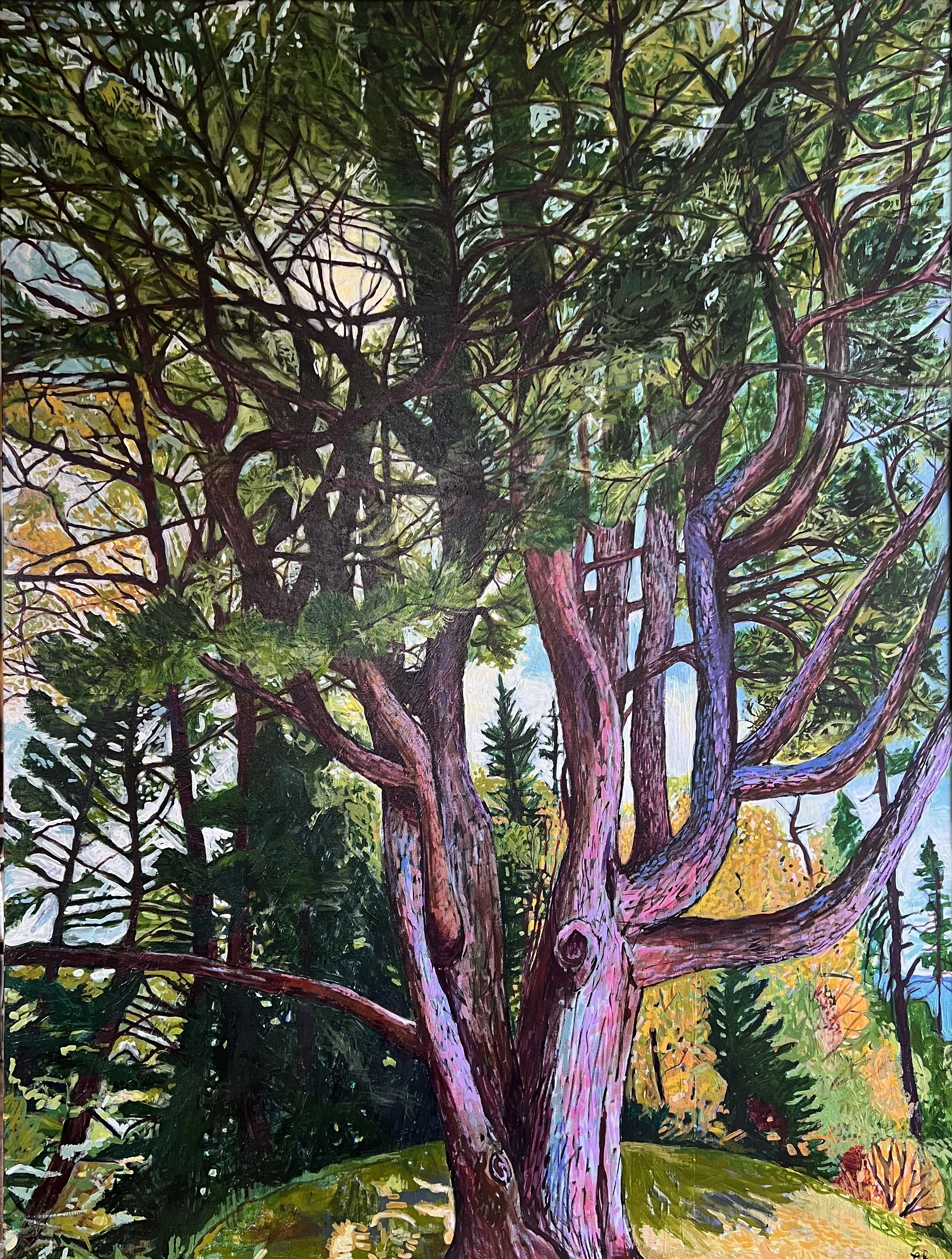 Rissers Pine
36x48
acrylic, acrylic ink on canvas
2026
$3200