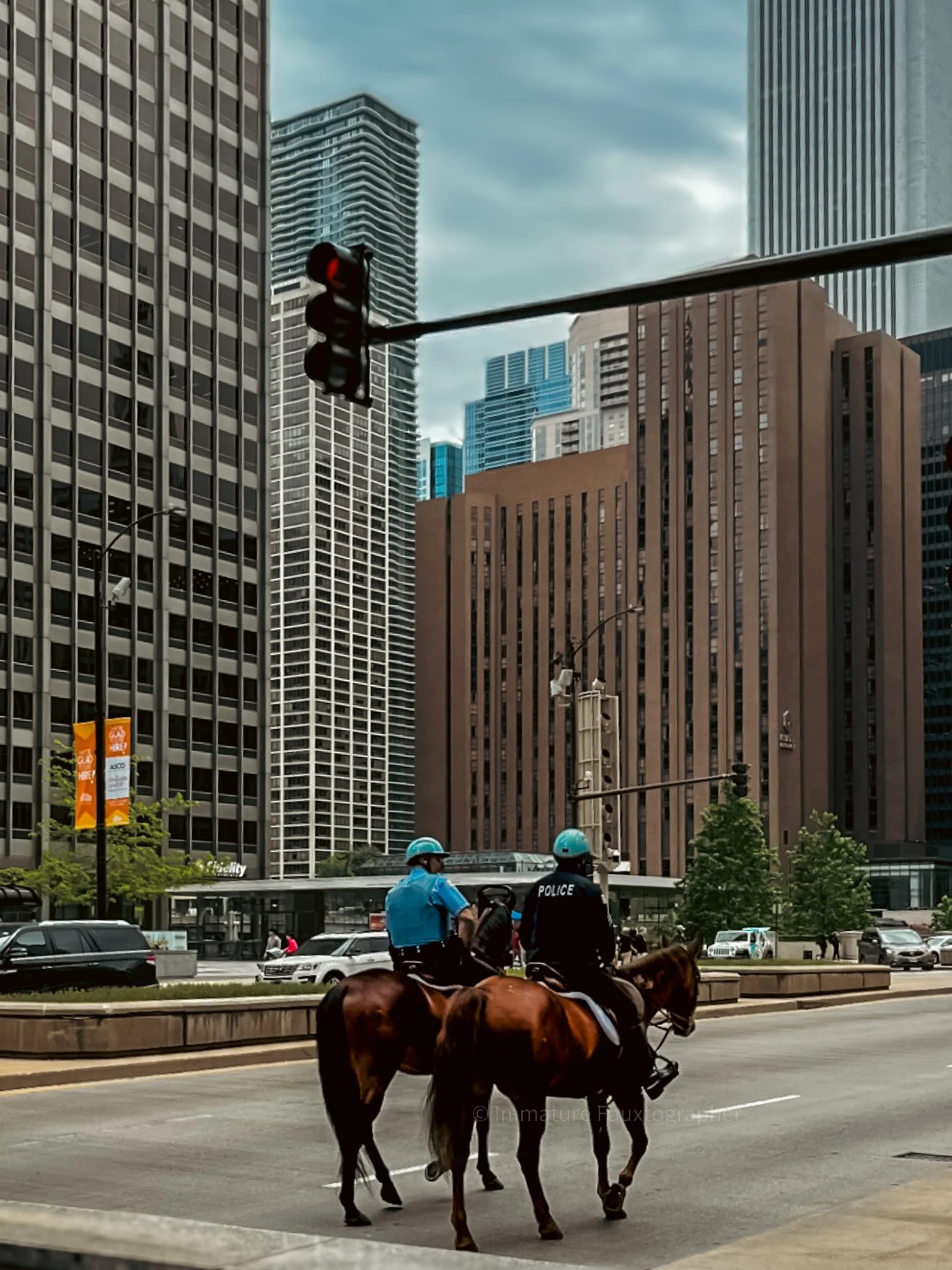 orig PD on horses.jpg