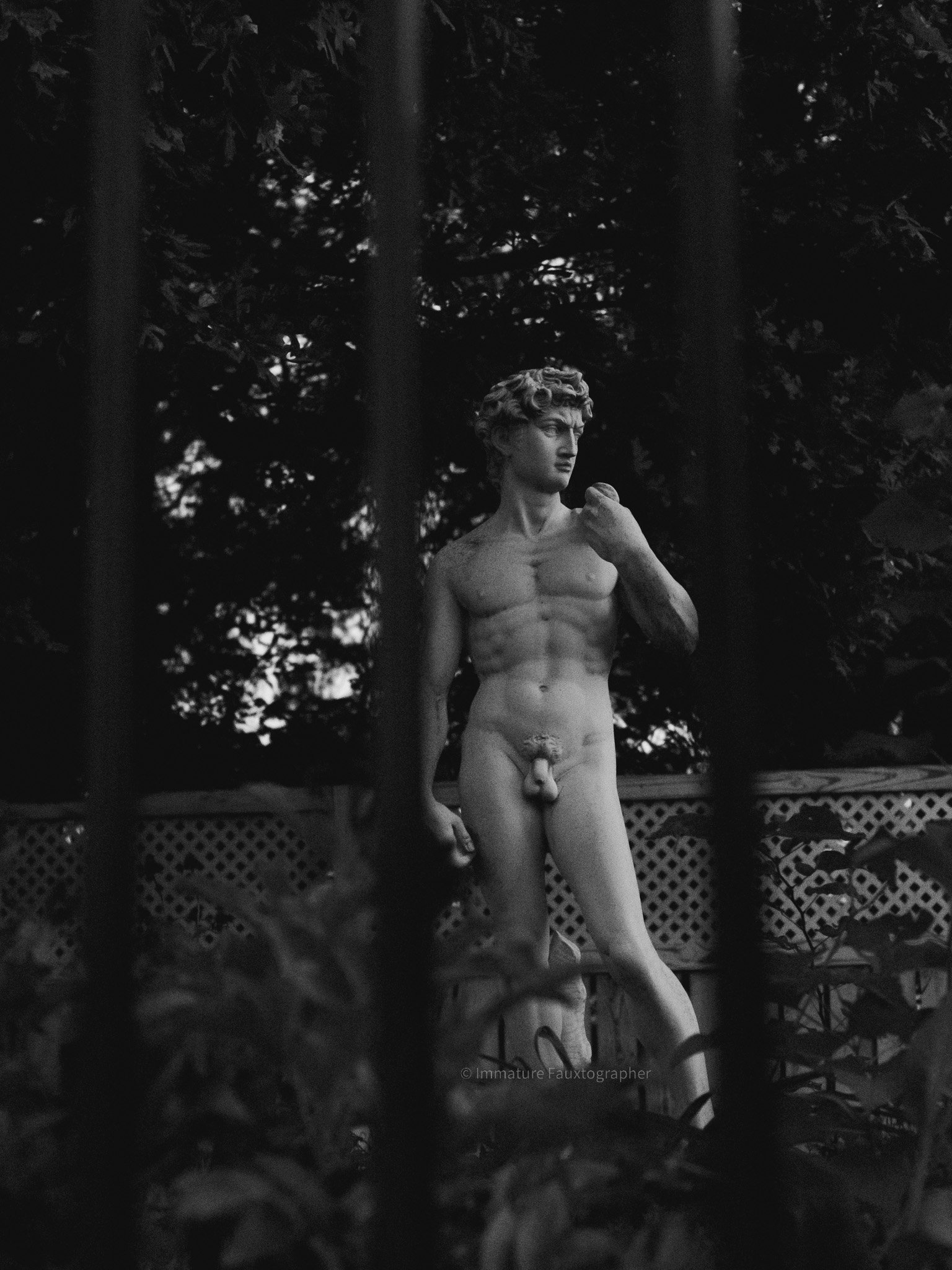 A black and white photo of a classical-style nude male statue of a young man with curly hair, standing outdoors behind a fence with leaves and trees in the background.