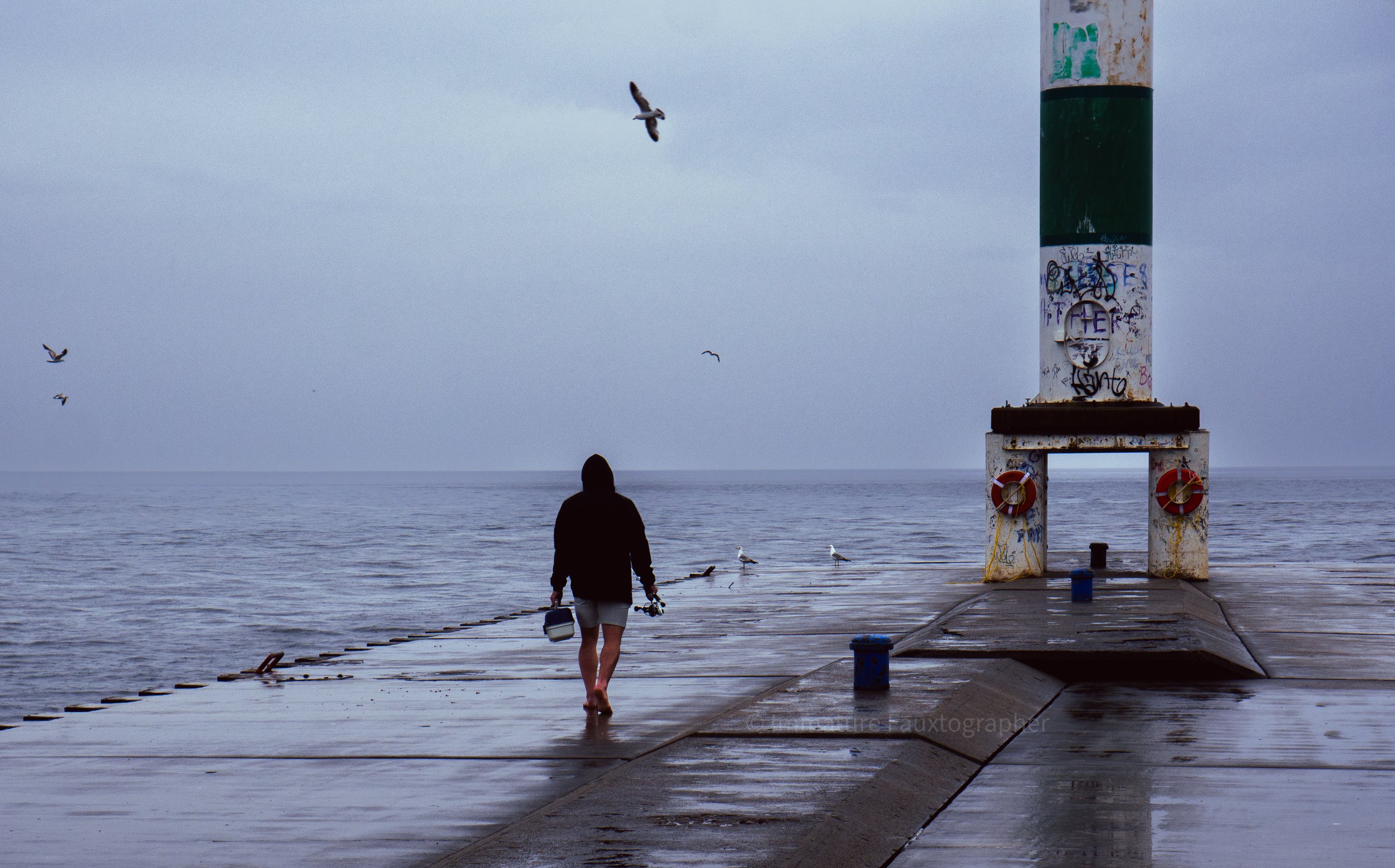 Holland State Park, MI