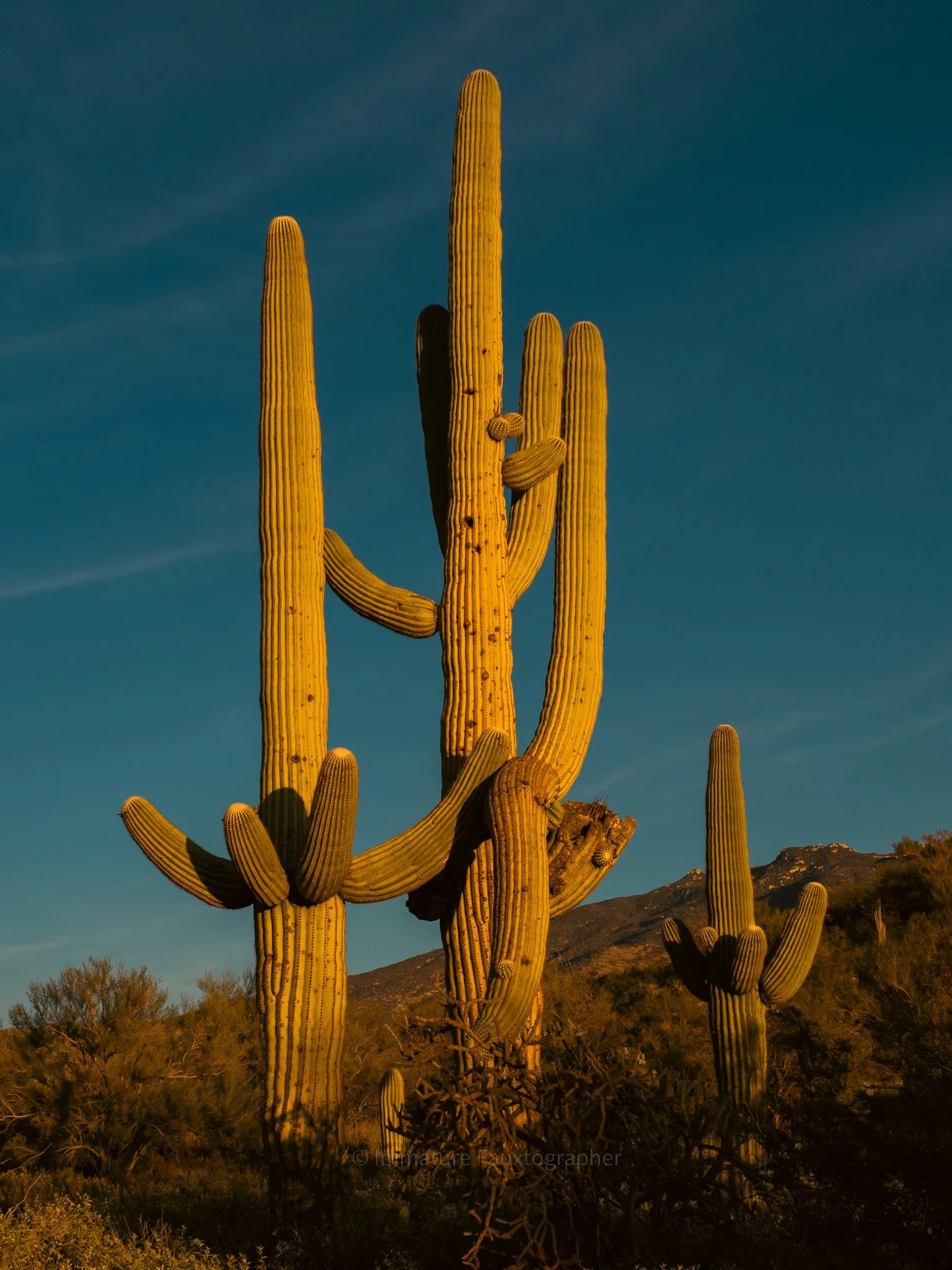 Arizona + New Mexico Roadtrip