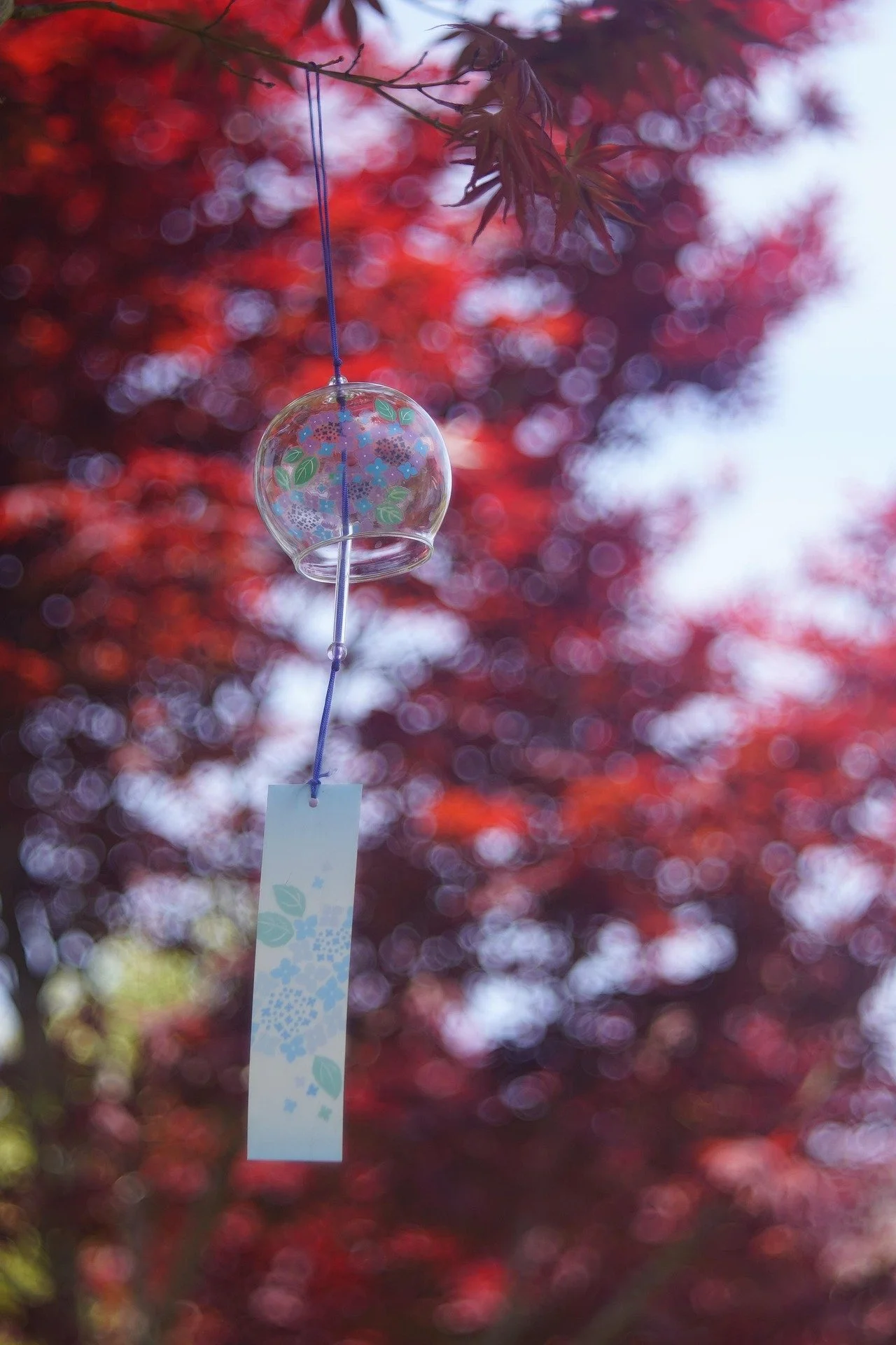 Ambient Music Meditation with Wind Sounds & Chimes