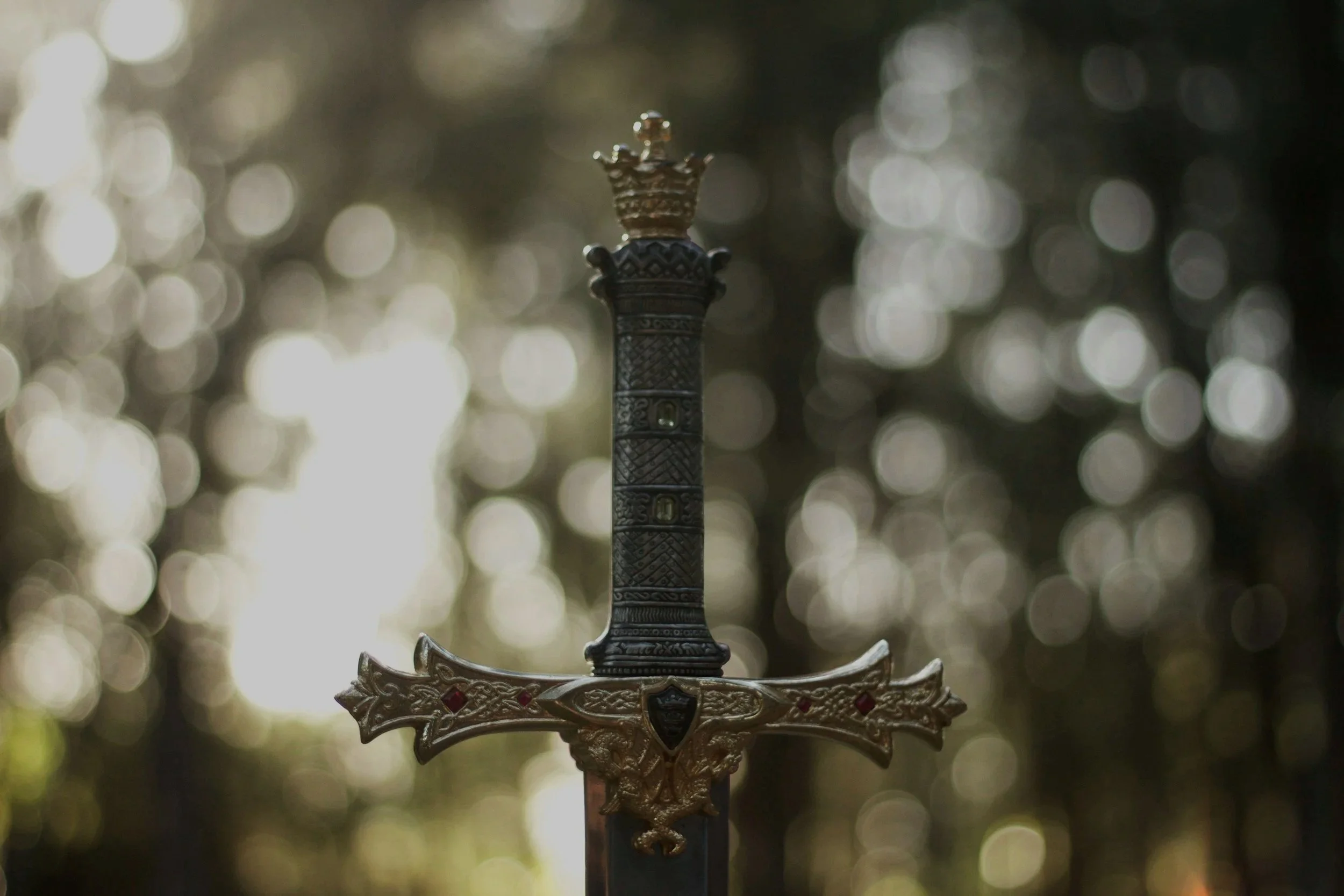 Close-up of a medieval-style ornate sword with a decorative hilt, set against a sunlit forest backdrop.
