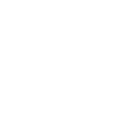 ELITE PATH BASKETBALL