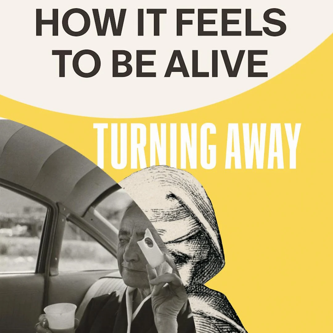 CHICAGO, IL - Turning Away & How it Feels to Be Alive - In conversation with Megan O'Grady