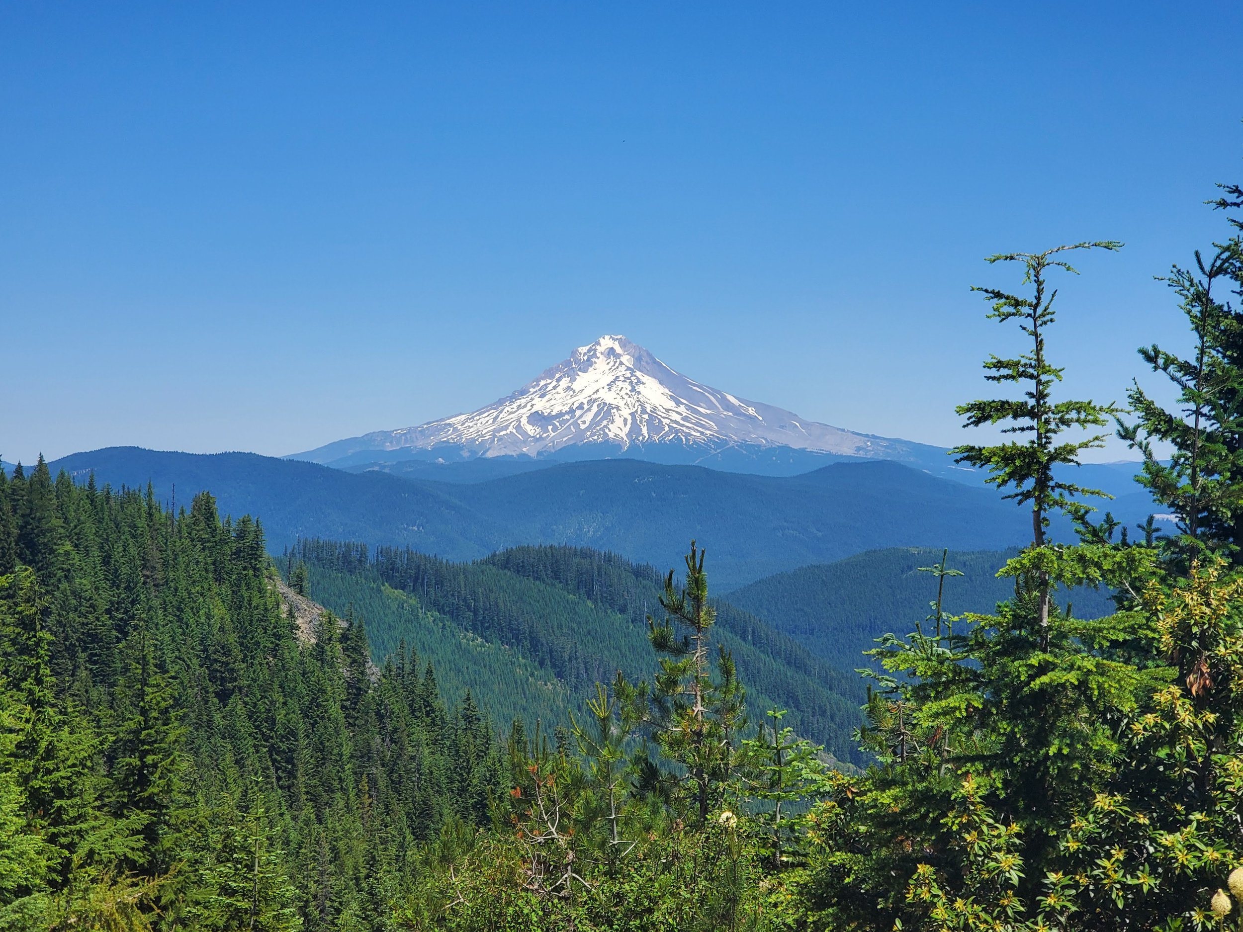 Snow-capped mountain above green forested hills under a clear blue sky.