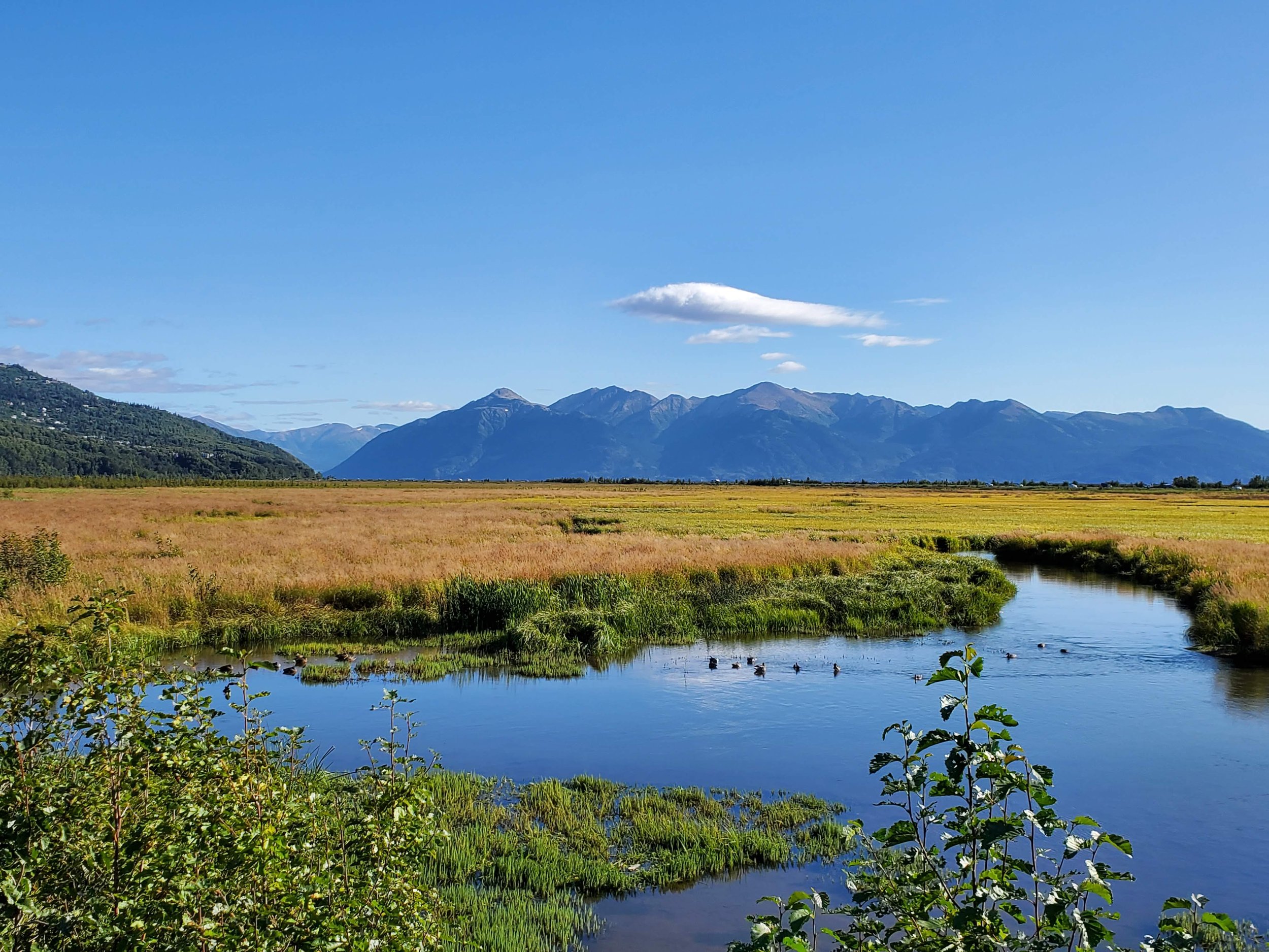 Scenic landscape with a calm river flowing through a grassy plain, with mountains in the background under a clear blue sky with a few clouds.