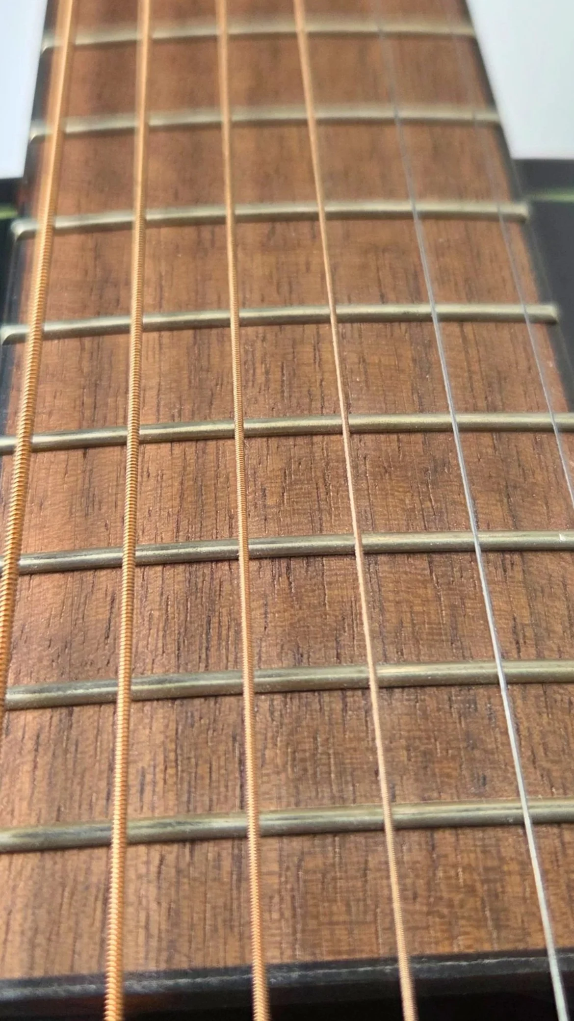 Close-up of a guitar fretboard showing metal frets, guitar strings, and wood grain.