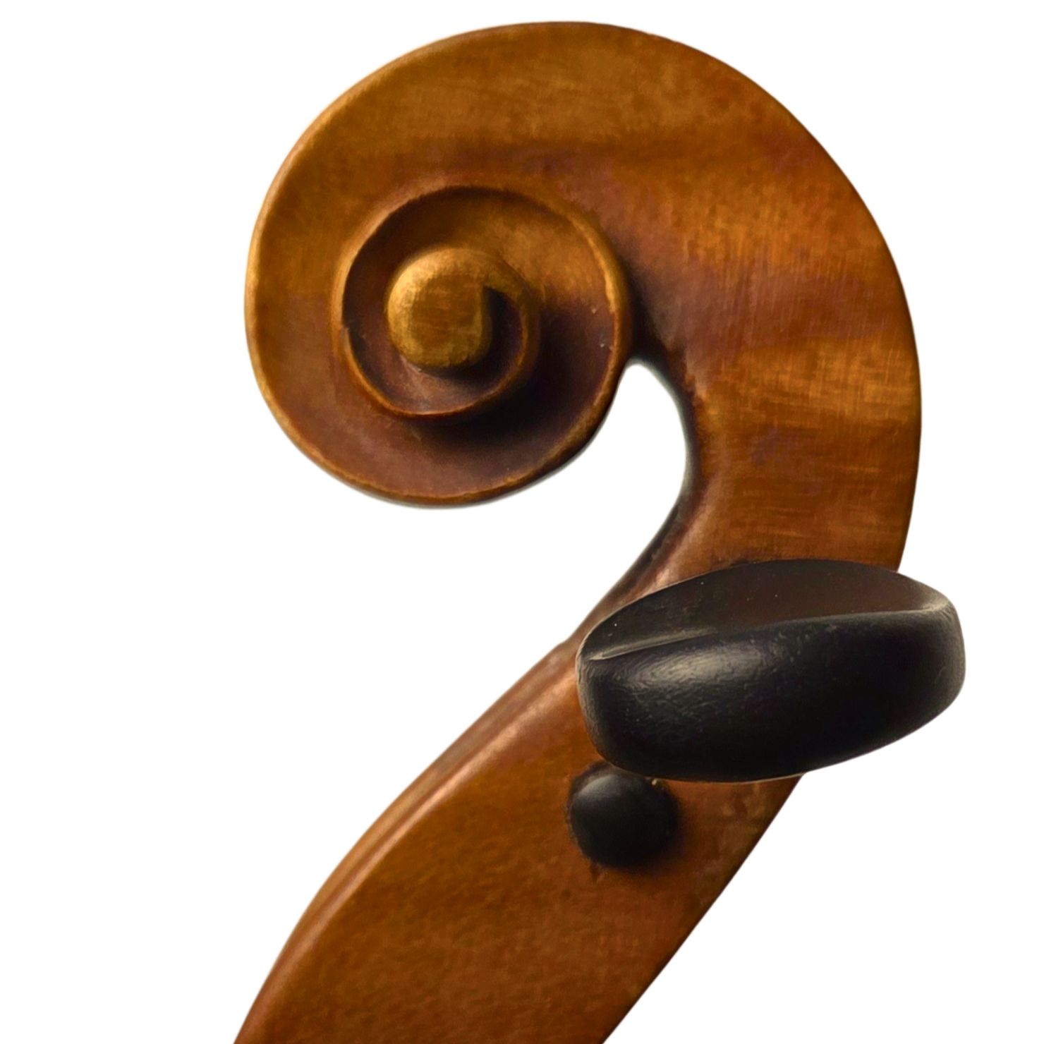 violin+scroll.png