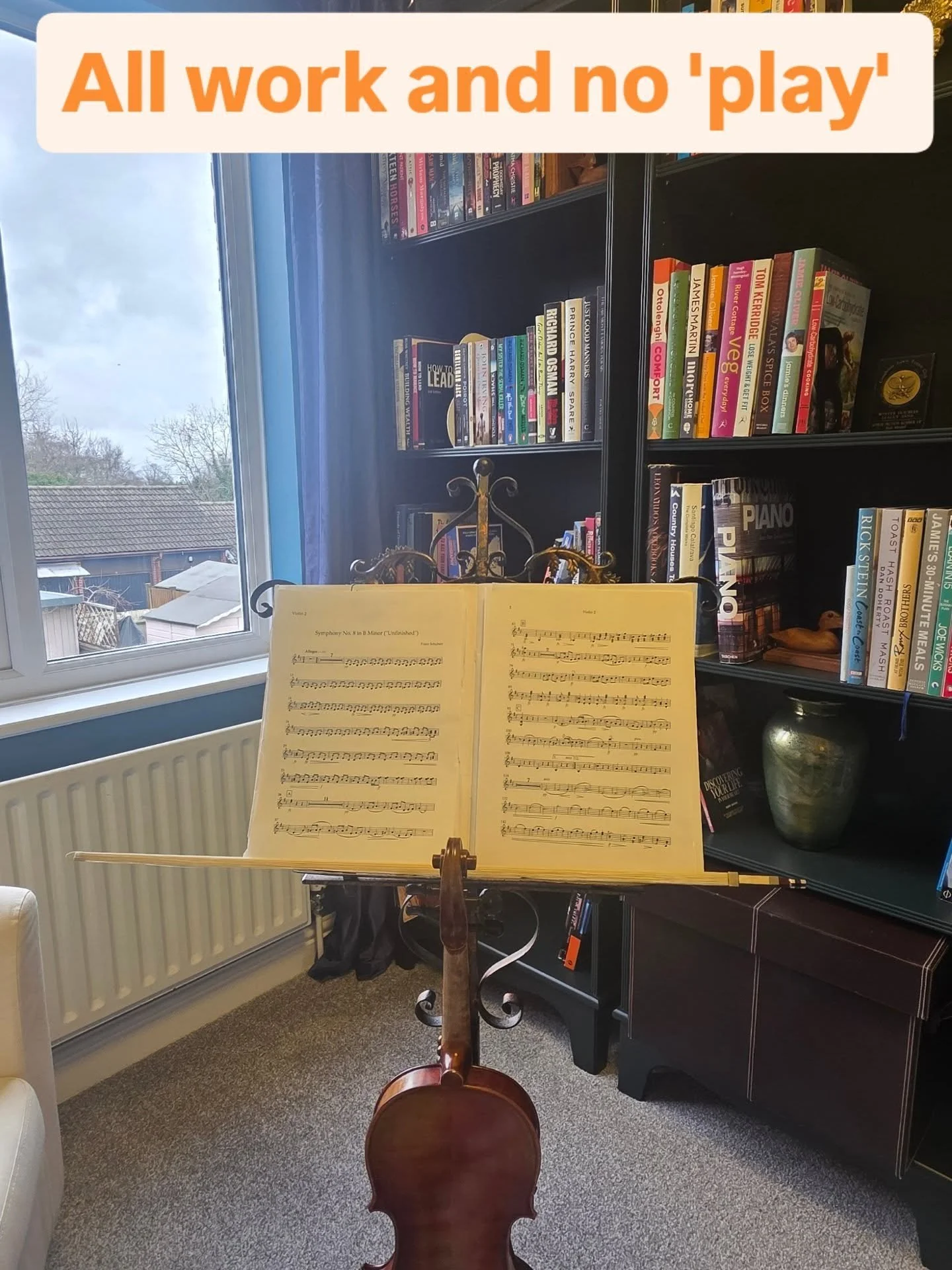 One of my favourite pastimes.
My passion for orchestral music began over 30 years ago 🎻