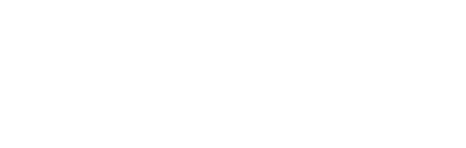 Wellfound Coaching