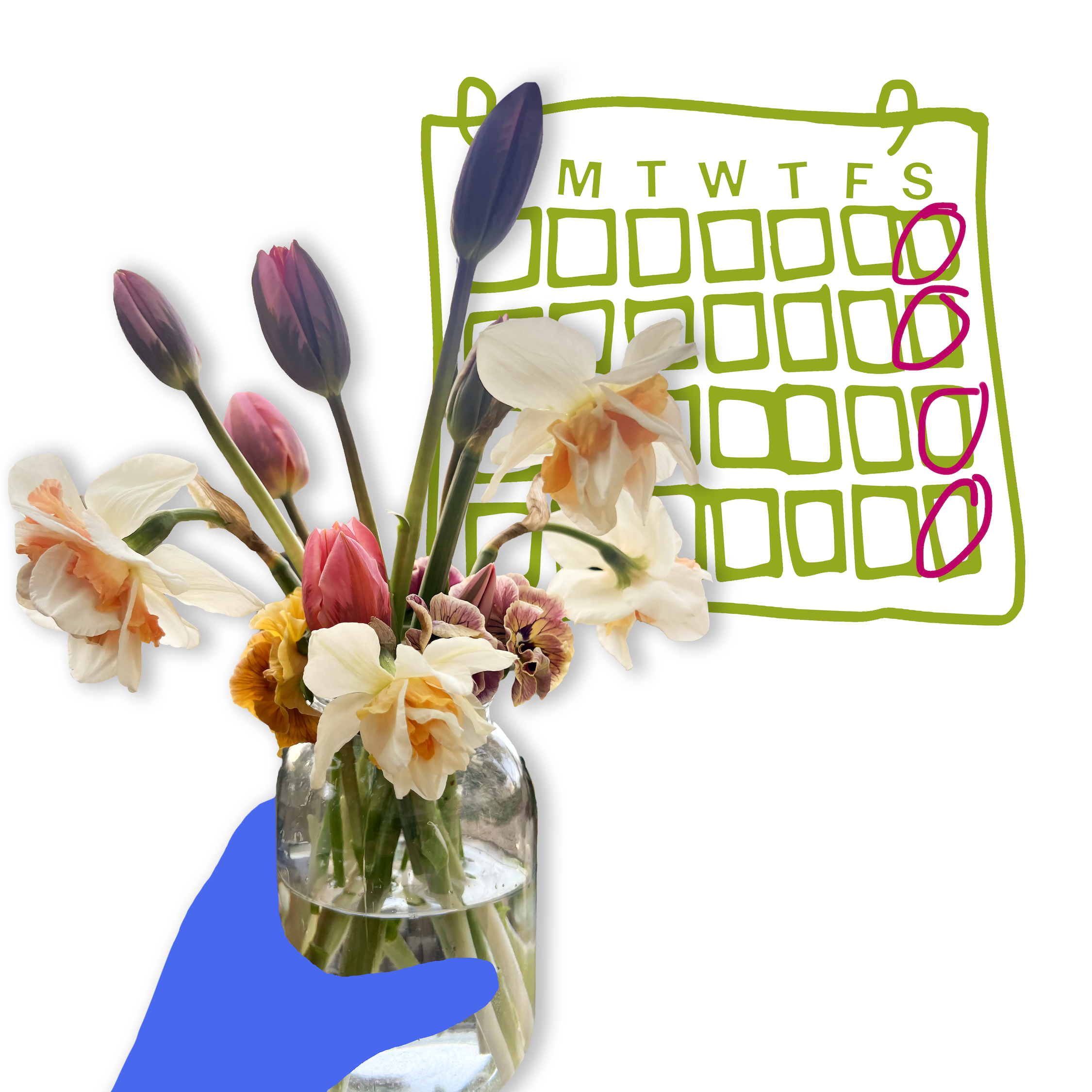 The Whole Shebang (Weekly)