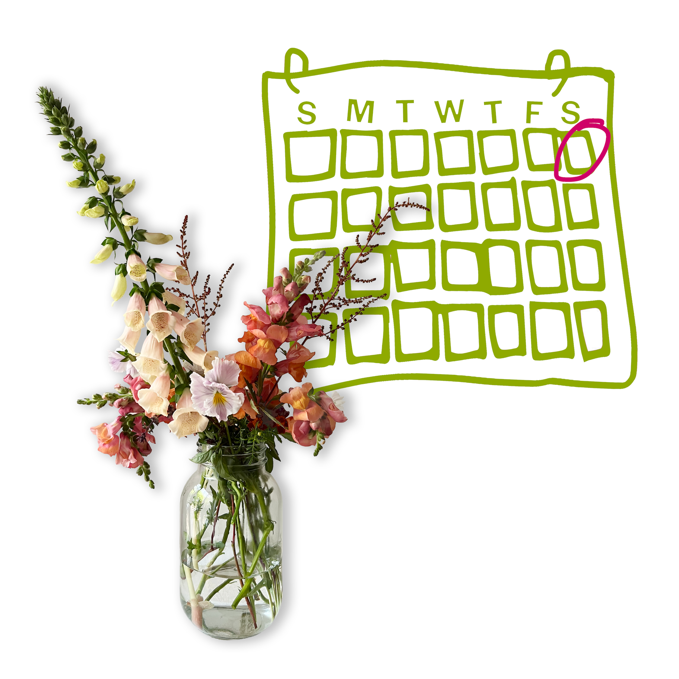 Single CSA Shares (Monthly Pickup)