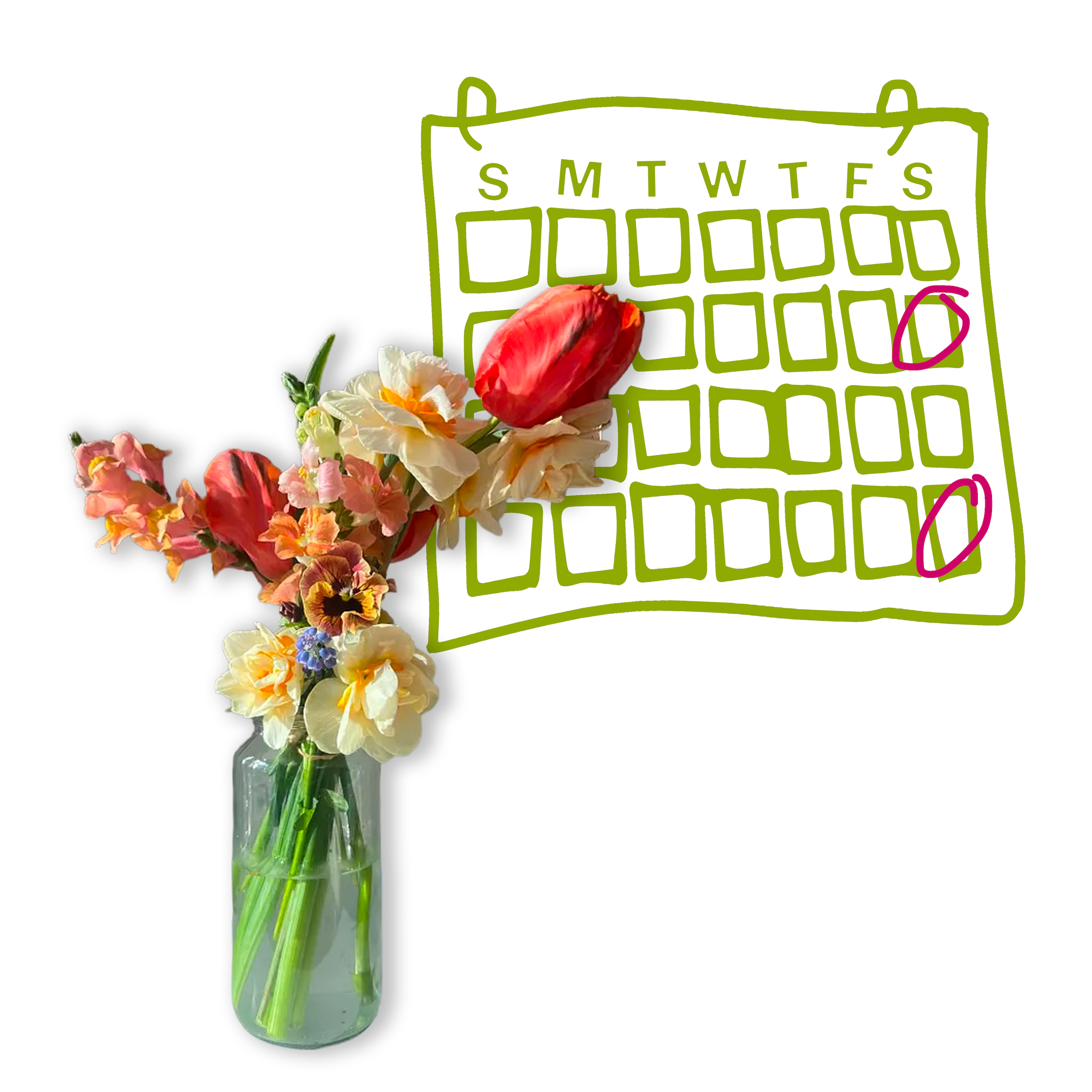 Double CSA Shares (Biweekly Pickup)