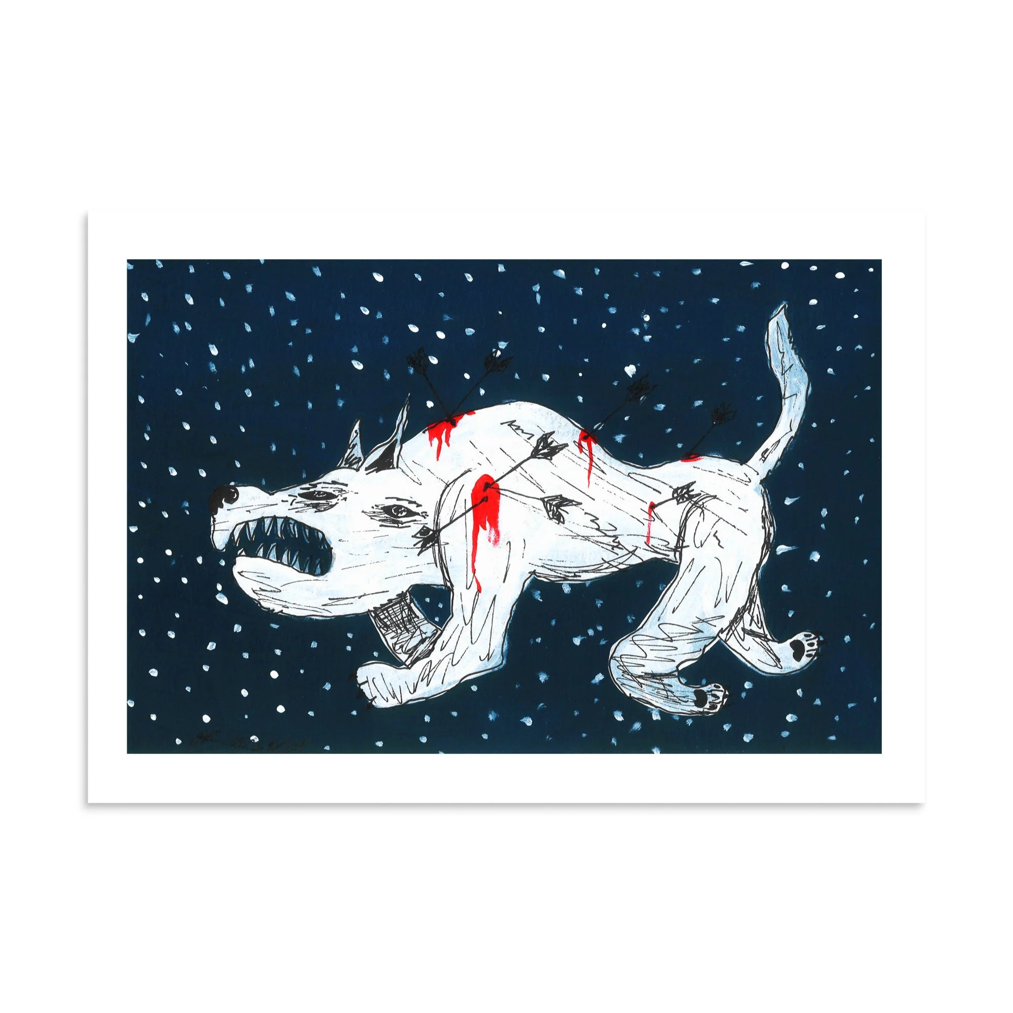 Cur Admires The Night Sky Before Resting His Sleepy Eyes
