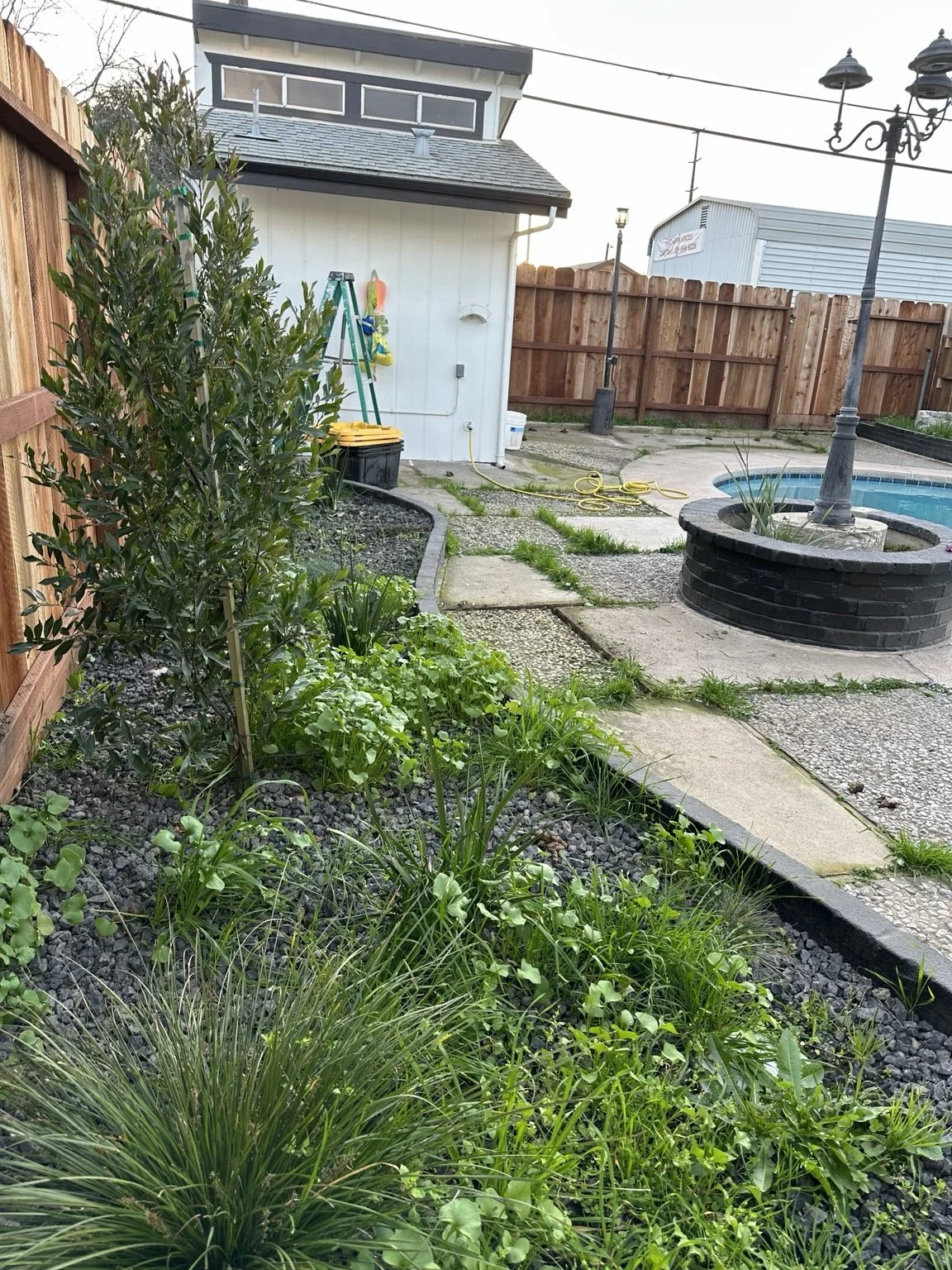 An before photo of a rock cleanup. Denair, CA