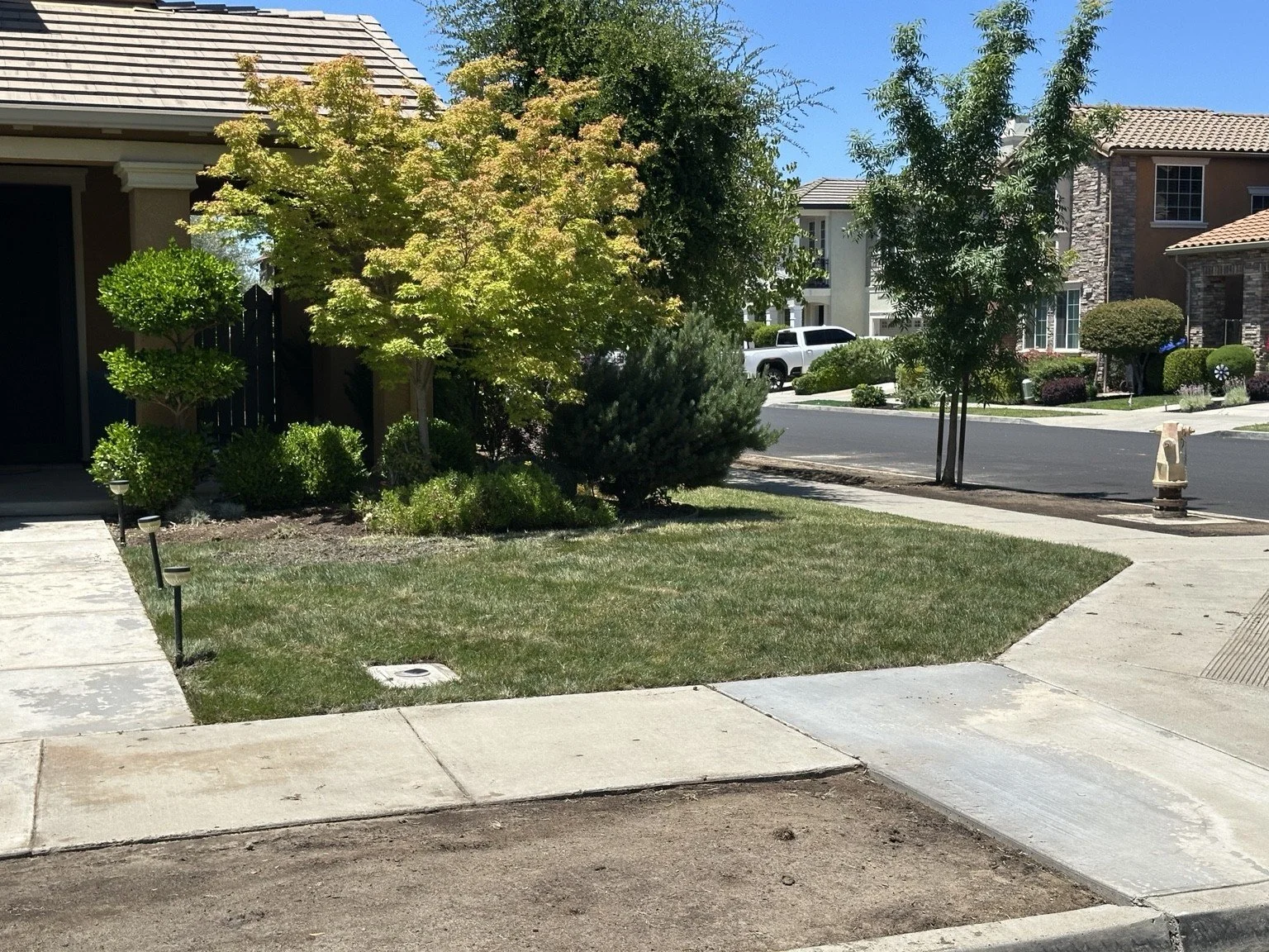 An after photo of a sod install. Turlock, CA