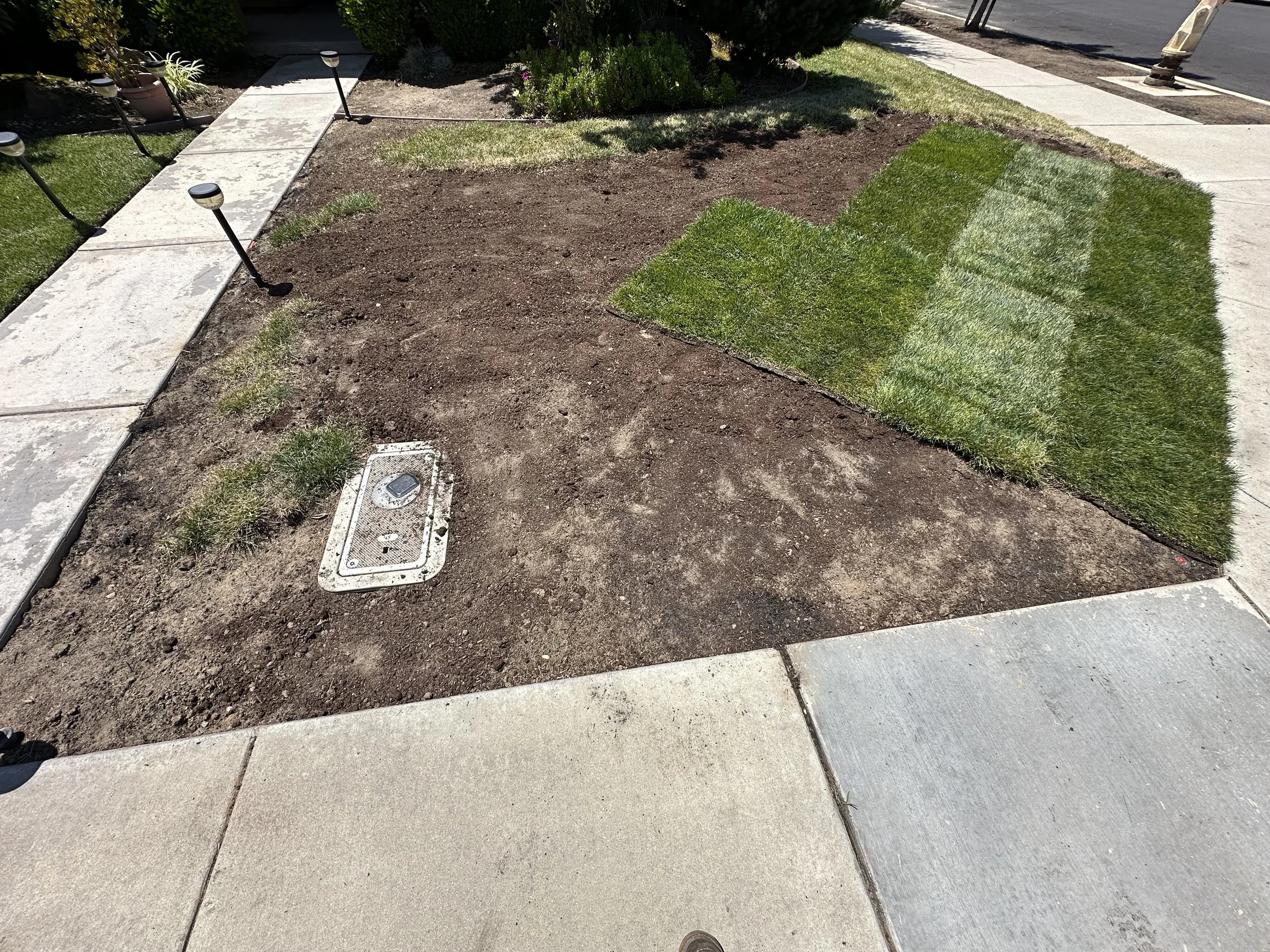 A picture Installing sod, Turlock, CA