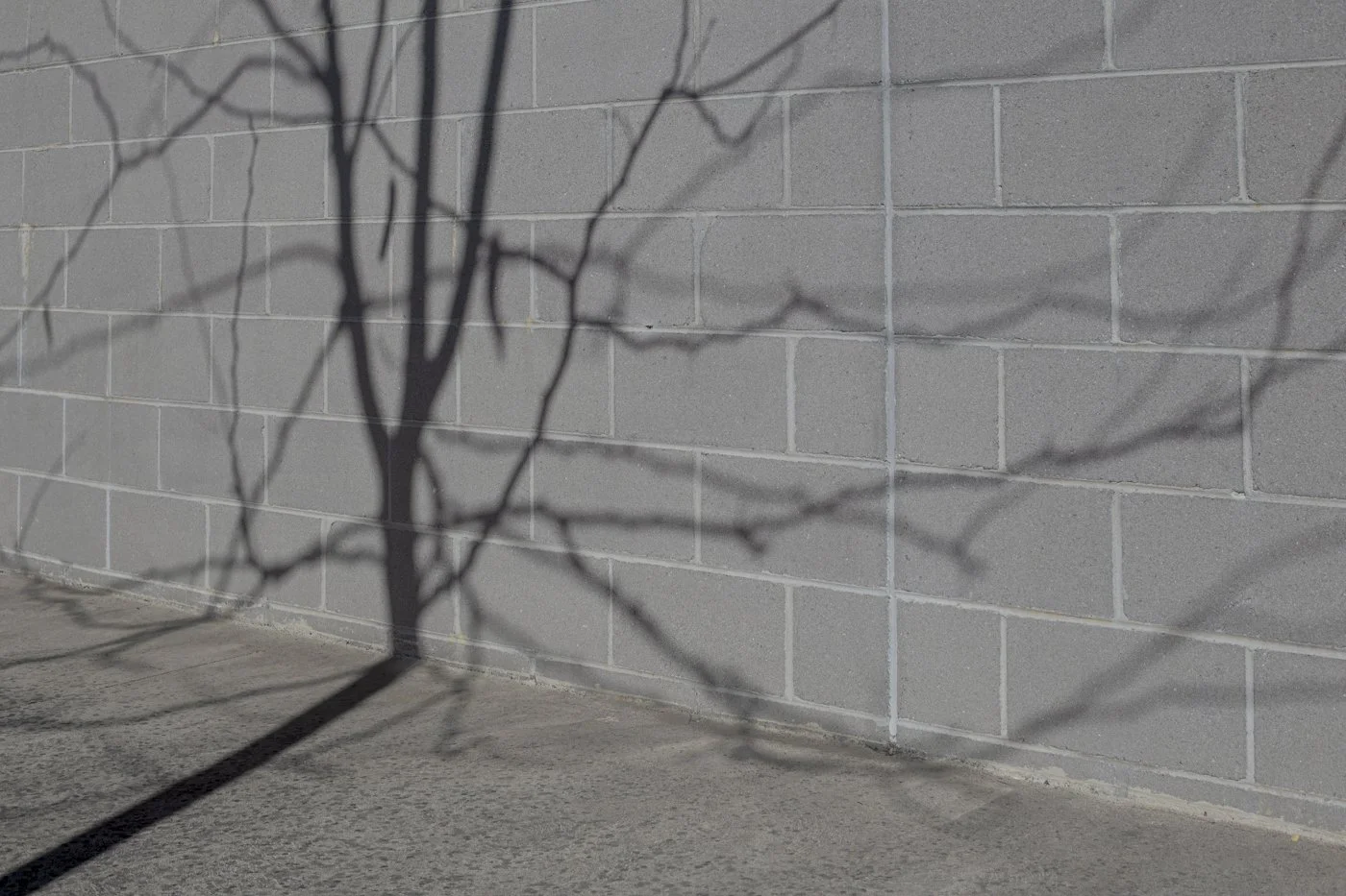 Urban/Shadows 3