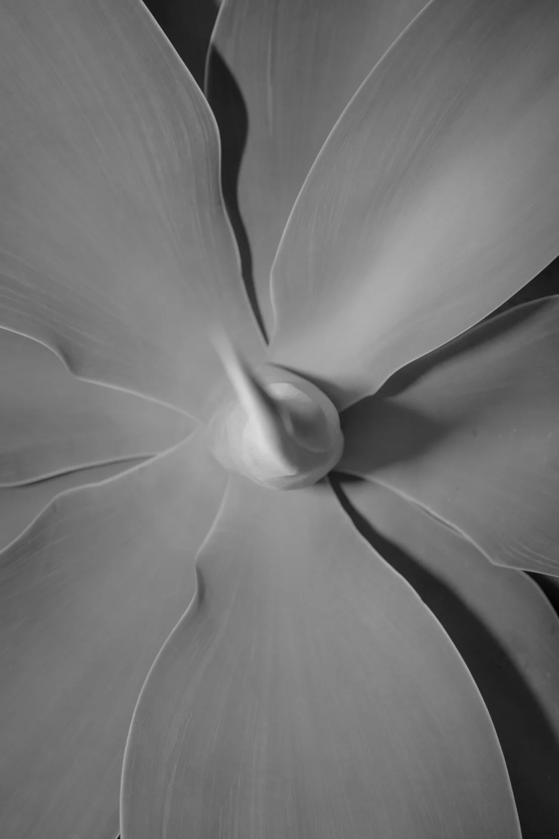 R0007193.jpg