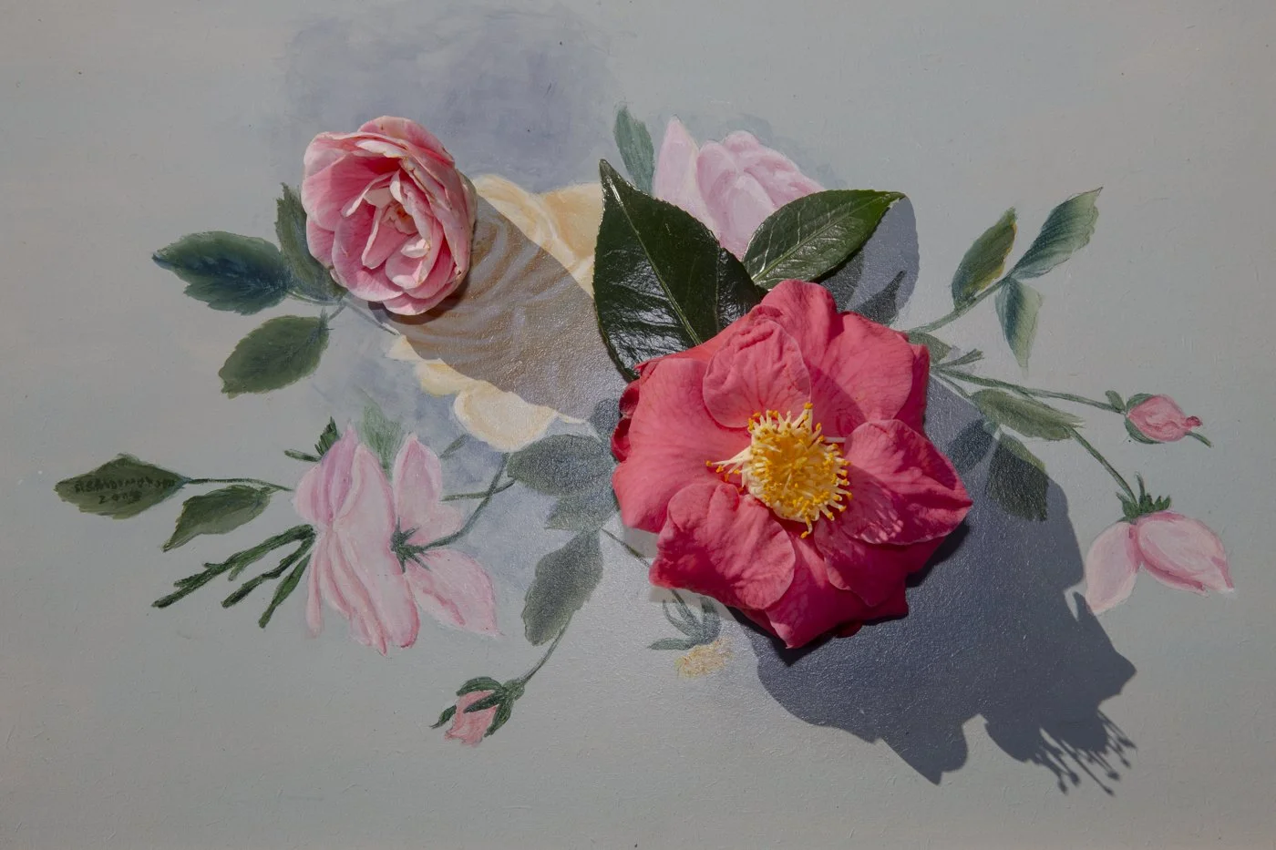 'Camellia' Private Collection