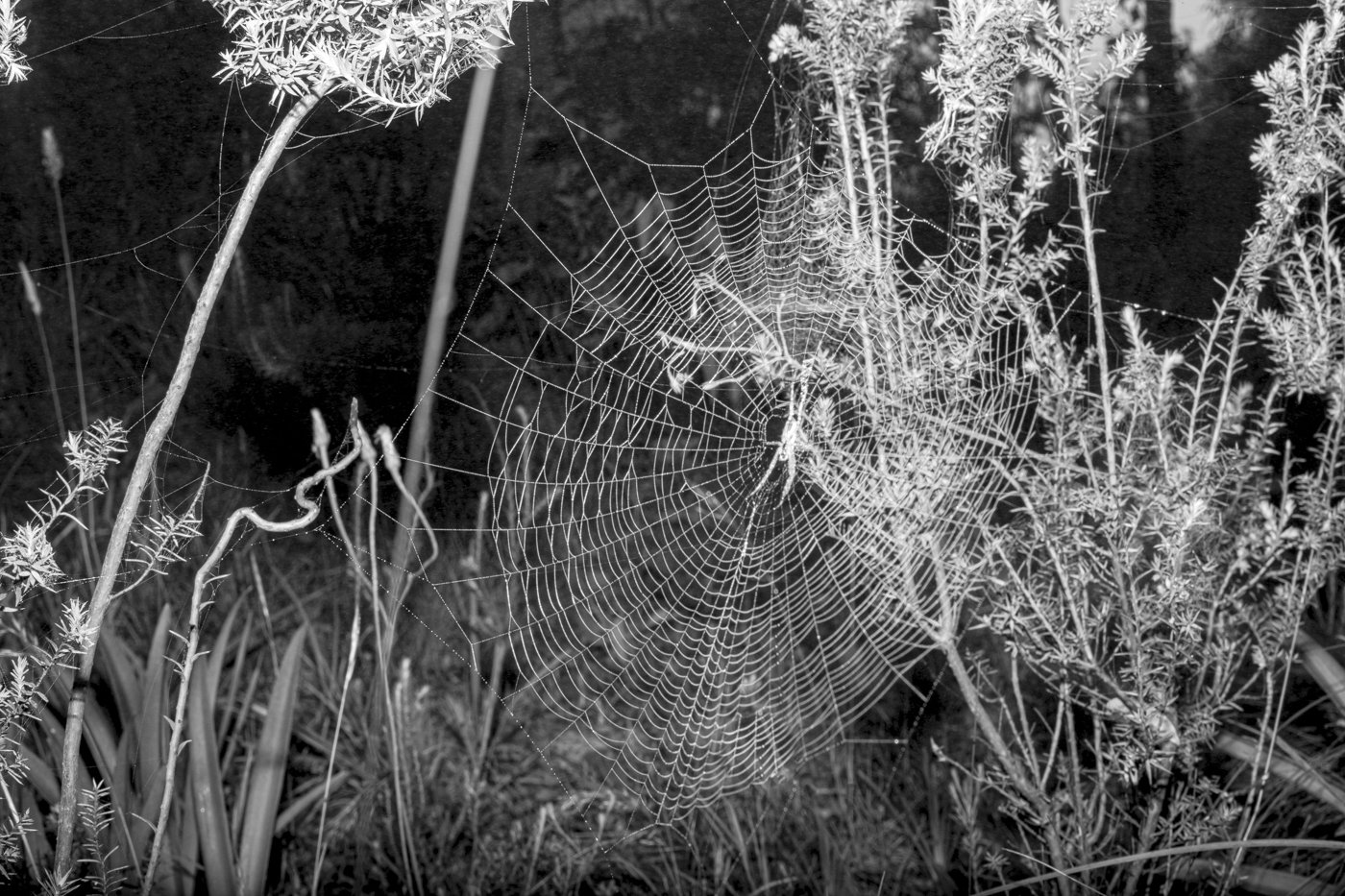 'T E N' Self Publication and Book Launch 2024