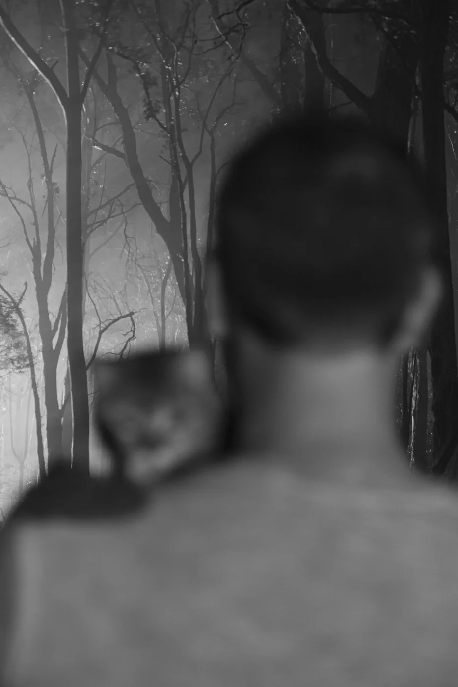 'A New Years Eve' Private Collection