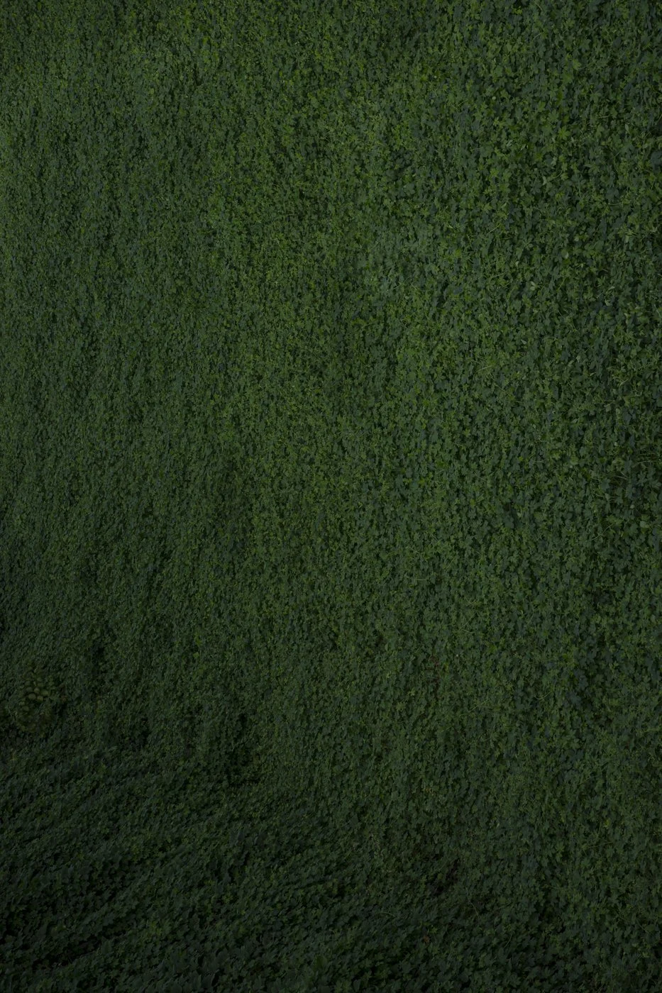 Green (2)
